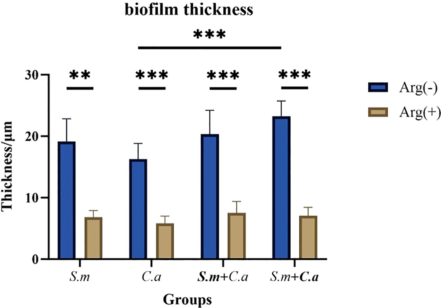 Bar chart showing biofilm thickness in micrometers for different groups: S.m, C.a, S.m+C.a, and S.m+C.a with arginine (Arg(+)) or without arginine (Arg(-)). Arg(-) bars are taller, indicating higher thickness. Statistical significance is marked with asterisks, with all groups showing significant differences.