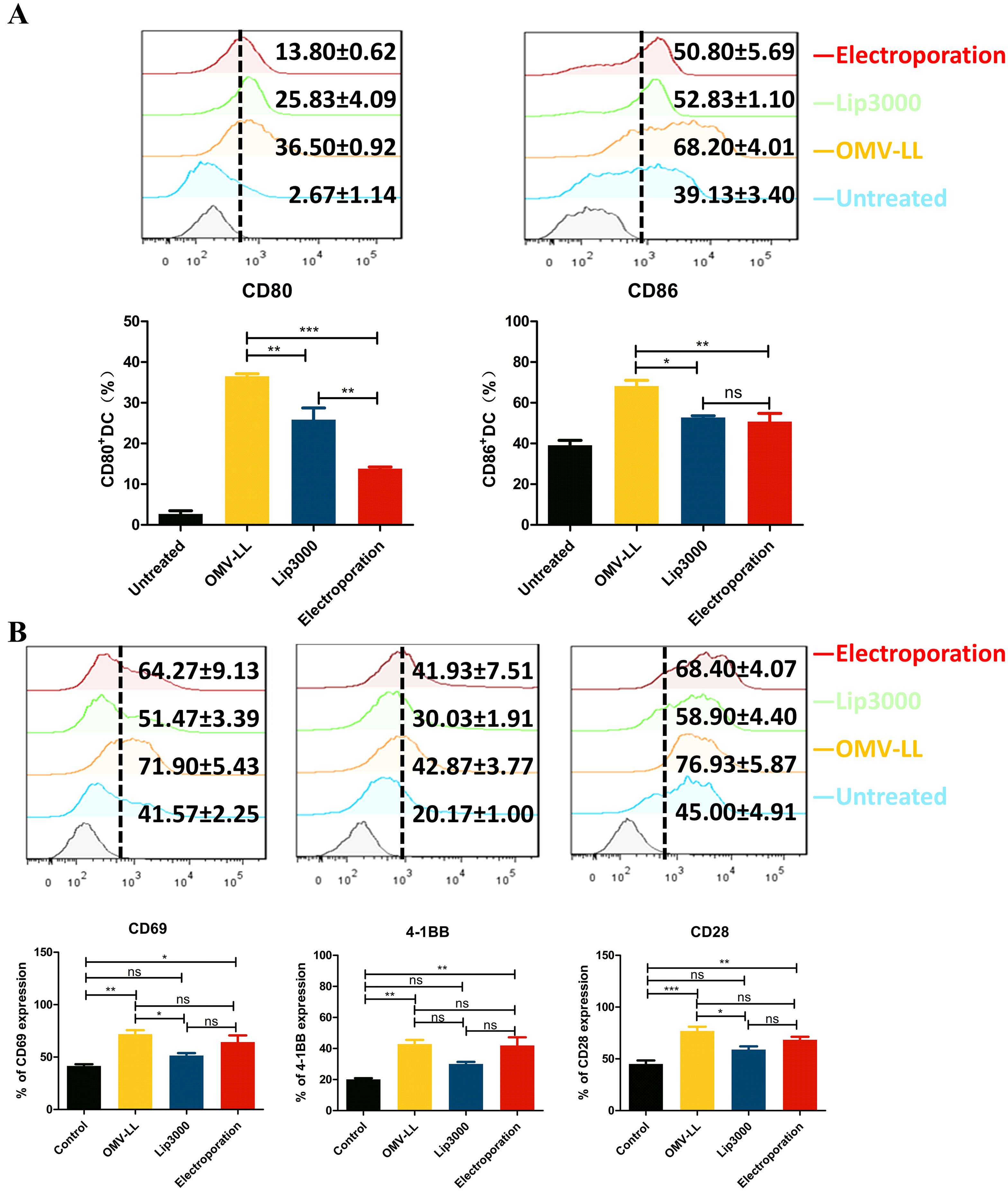 Graphs and histograms show the expression levels of CD80, CD86, CD69, 4-1BB, and CD28 on dendritic cells, comparing four treatments: Untreated, OMV-LL, Lip3000, and Electroporation. Line graphs depict the amount of expression, while bar graphs indicate percentages. Statistical significance is marked with asterisks: *(p<0.05), **(p<0.01), ***(p<0.001), and “ns” for not significant. The data show varying degrees of expression across treatments, highlighting differential immune activation responses.