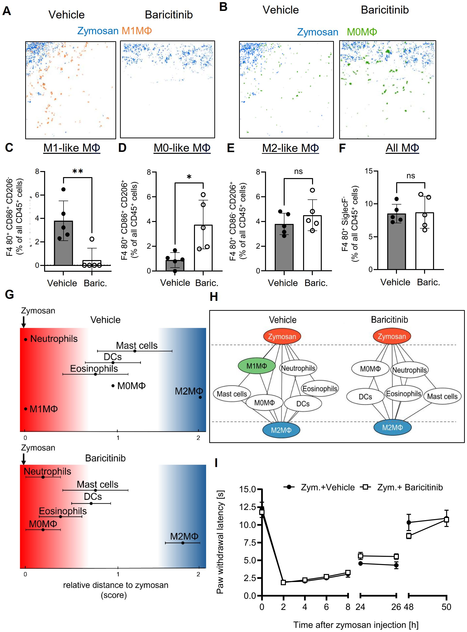 Panel A shows M1-like macrophages in orange and zymosan in blue under vehicle and baricitinib conditions. Panel B displays M0-like macrophages in green and zymosan in blue. Panels C to F present bar graphs comparing percentages of various macrophage types. Panel G illustrates relative distances in immune responses with color gradients for neutrophils, mast cells, dendritic cells, eosinophils, and macrophages under both conditions. Panel H shows a diagram of cell interactions with zymosan for both treatments. Panel I is a line graph showing paw withdrawal latency over time after zymosan injection.