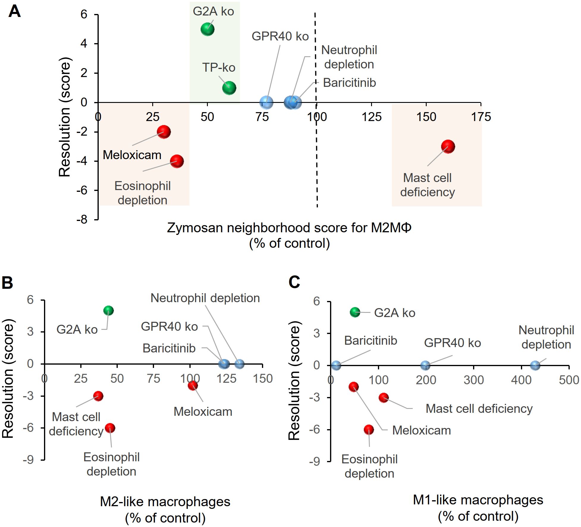 Three graphs illustrate the effects of various conditions on resolution and macrophage function. Graph A shows a scatter plot with a horizontal axis labeled “Zymosan neighborhood score for M2Mϕ (% of control)” and a vertical axis labeled “Resolution (score).” Different conditions such as G2A knockout, TP knockout, GPR40 knockout, neutrophil depletion, baricitinib, meloxicam, eosinophil depletion, and mast cell deficiency are plotted with colored markers. Graph B is similar, focusing on “M2-like macrophages (% of control),” and graph C on “M1-like macrophages (% of control).” Each condition shows different resolutions and controlling effects on the macrophages.