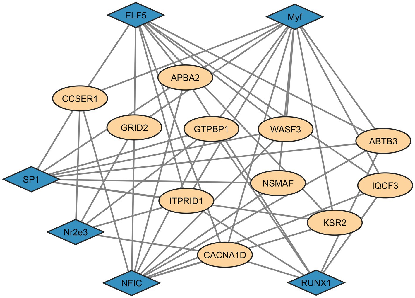 Network diagram illustrating interactions among various proteins. Eight blue diamond-shaped nodes (ELF5, Myf, SP1, Nr2e3, NFIC, RUNX1) are connected to multiple beige oval-shaped nodes (CCSER1, APBA2, GRID2, GTPBP1, WASF3, NSMAF, ITPRID1, CACNA1D, ABTB3, IQCF3, KSR2), showing complex interconnections among the elements.