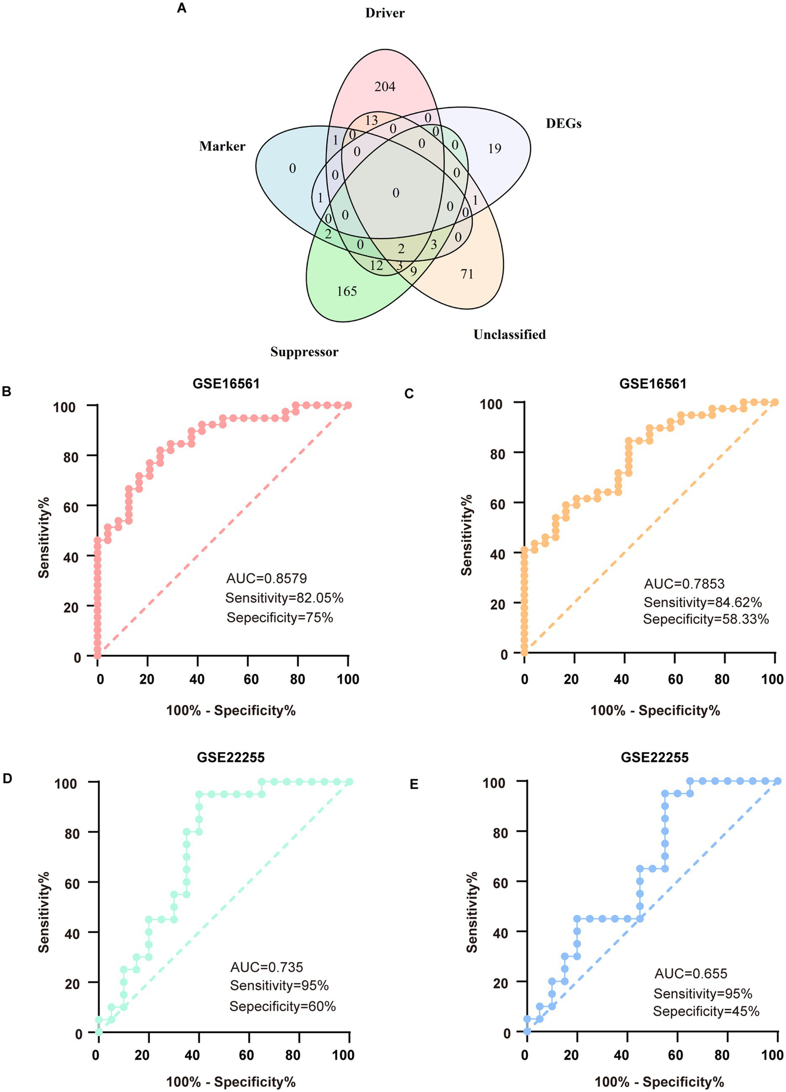 Venn diagram and four ROC curve plots are displayed. The Venn diagram (A) shows overlap among four categories: Driver, DEGs, Suppressor, and Marker, with numbers indicating different intersections. Plots B, C, D, and E show ROC curves for datasets GSE16561 and GSE22255 with sensitivity vs. 100% specificity, indicated by different colors. Each plot includes AUC, sensitivity, and specificity values: B (AUC=0.8579), C (AUC=0.7853), D (AUC=0.735), and E (AUC=0.655), displaying various performance metrics.