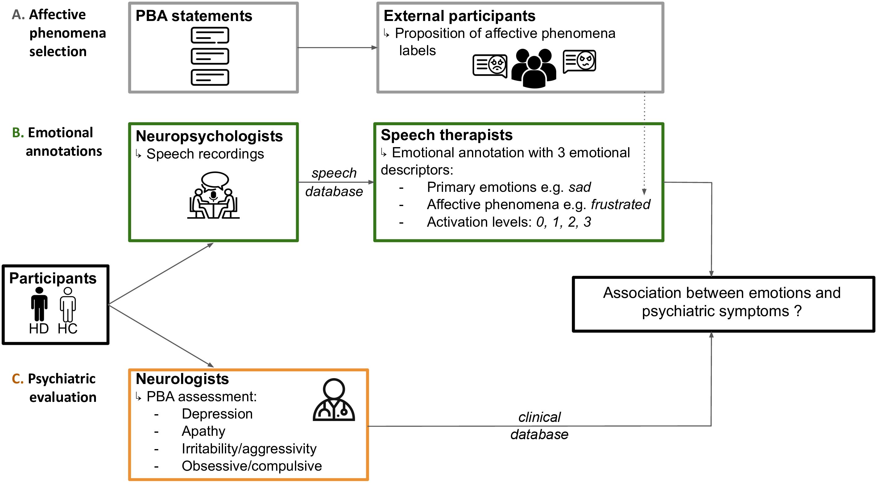 Flowchart illustrating data collection process. Section A describes affective phenomena selection involving PBA statements and external participants proposing labels. Section B involves emotional annotations by neuropsychologists and speech therapists, categorizing speech into primary emotions, affective phenomena, and activation levels. Section C covers psychiatric evaluation by neurologists, assessing conditions like depression and apathy. Participants, labeled HD and HC, provide data. The study explores associations between emotions and psychiatric symptoms, with databases for speech and clinical information.