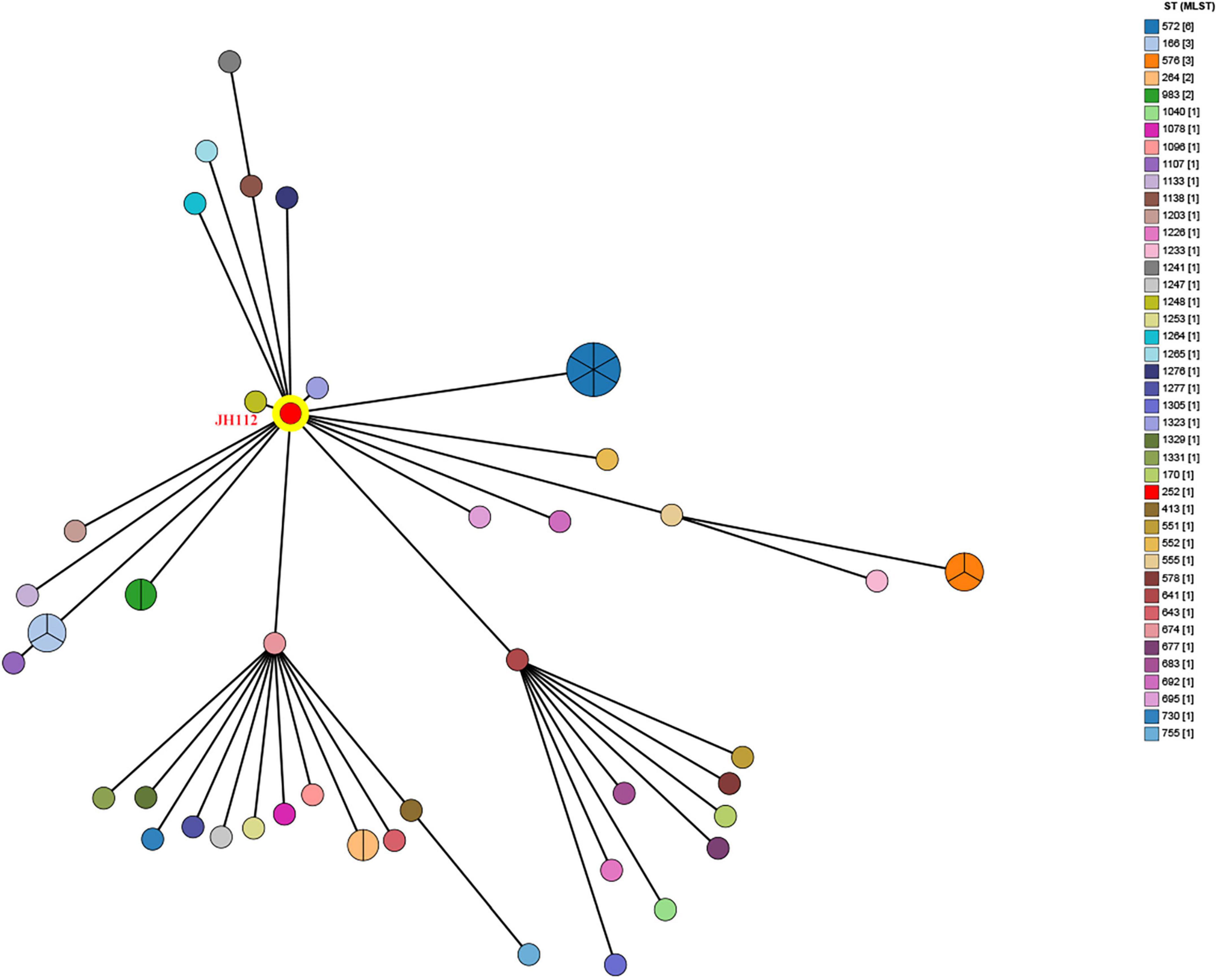 Diagram of a genetic or network tree with a central yellow node labeled “JH112” connected to multiple nodes in various colors. Each node has a different size, possibly indicating variation in data values. A color-coded legend on the right lists different identifiers alongside numbers in brackets. Lines connect the nodes, showing relationships or lineage.