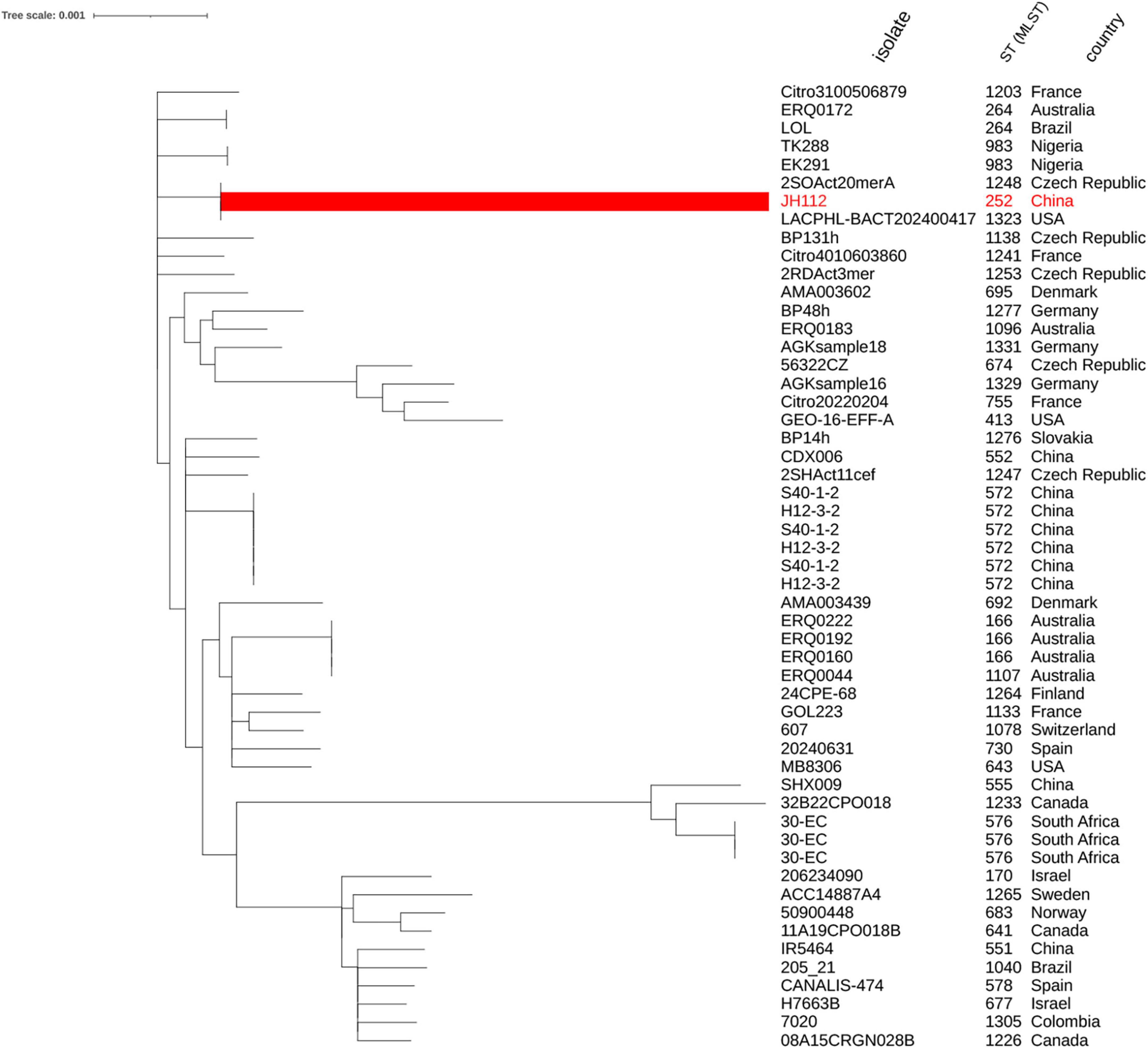 Evolutionary tree diagram with various isolates listed alongside. The tree includes branches labeled with isolate names, sequence types (ST), and associated countries. A highlighted red branch corresponds to isolate JH112 from China, displaying ST 252. The tree scale is 0.001.