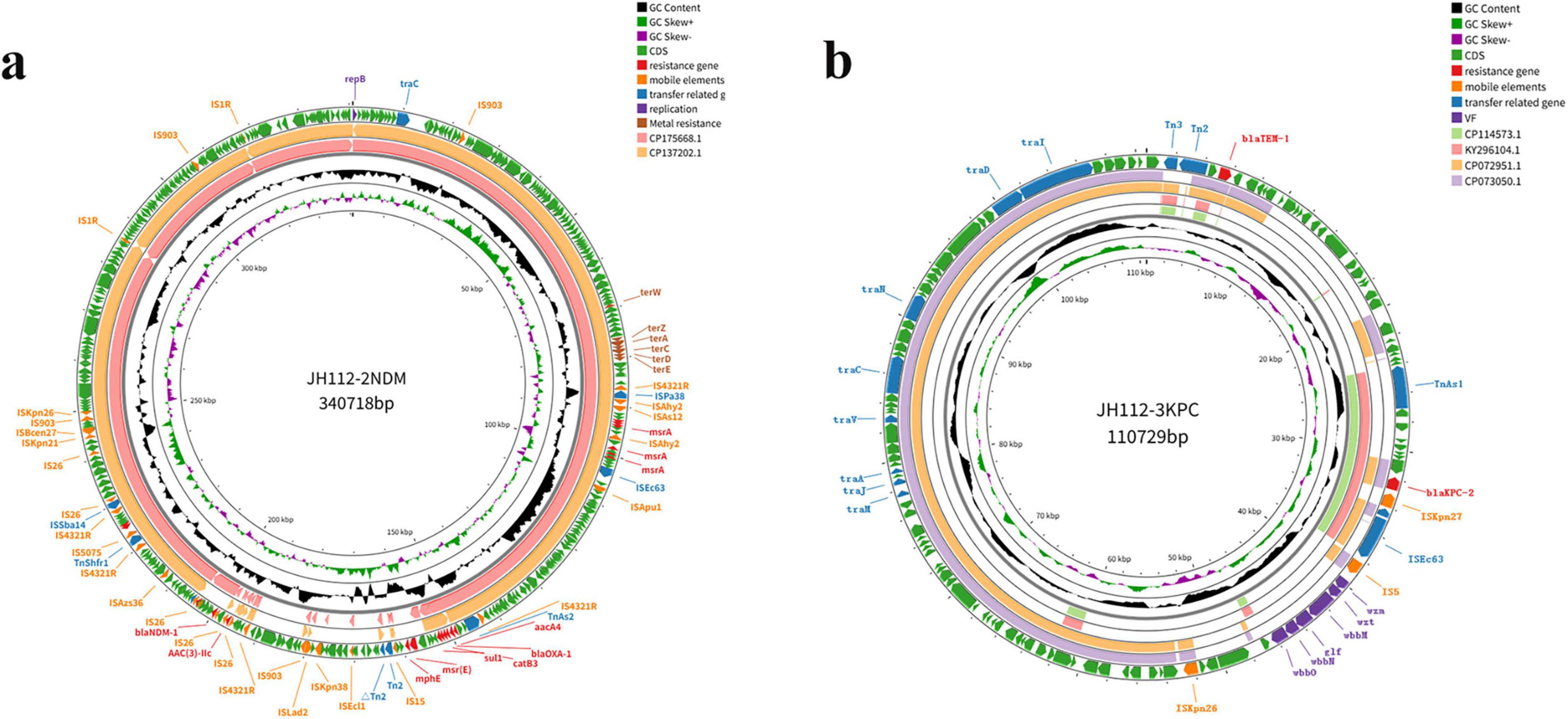 Circular genome maps labeled (a) and (b). Each map displays concentric circles indicating GC content, resistance genes, mobile elements, and other genetic features. The map for JH112-2NDM is 340,718 base pairs, while JH112-3KPC is 110,729 base pairs. Legends are provided for interpretation of colors and symbols.