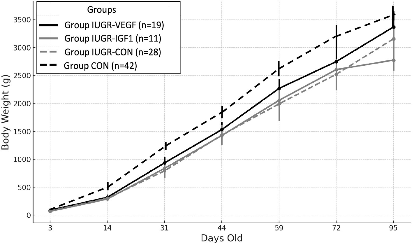 Line graph showing body weight in grams over days for four groups: IUGR-VEGF, IUGR-IGF1, IUGR-CON, and CON. Group CON, in dashed black, has the highest growth, while group IUGR-IGF1, in light gray, has the lowest. Error bars indicate variability.