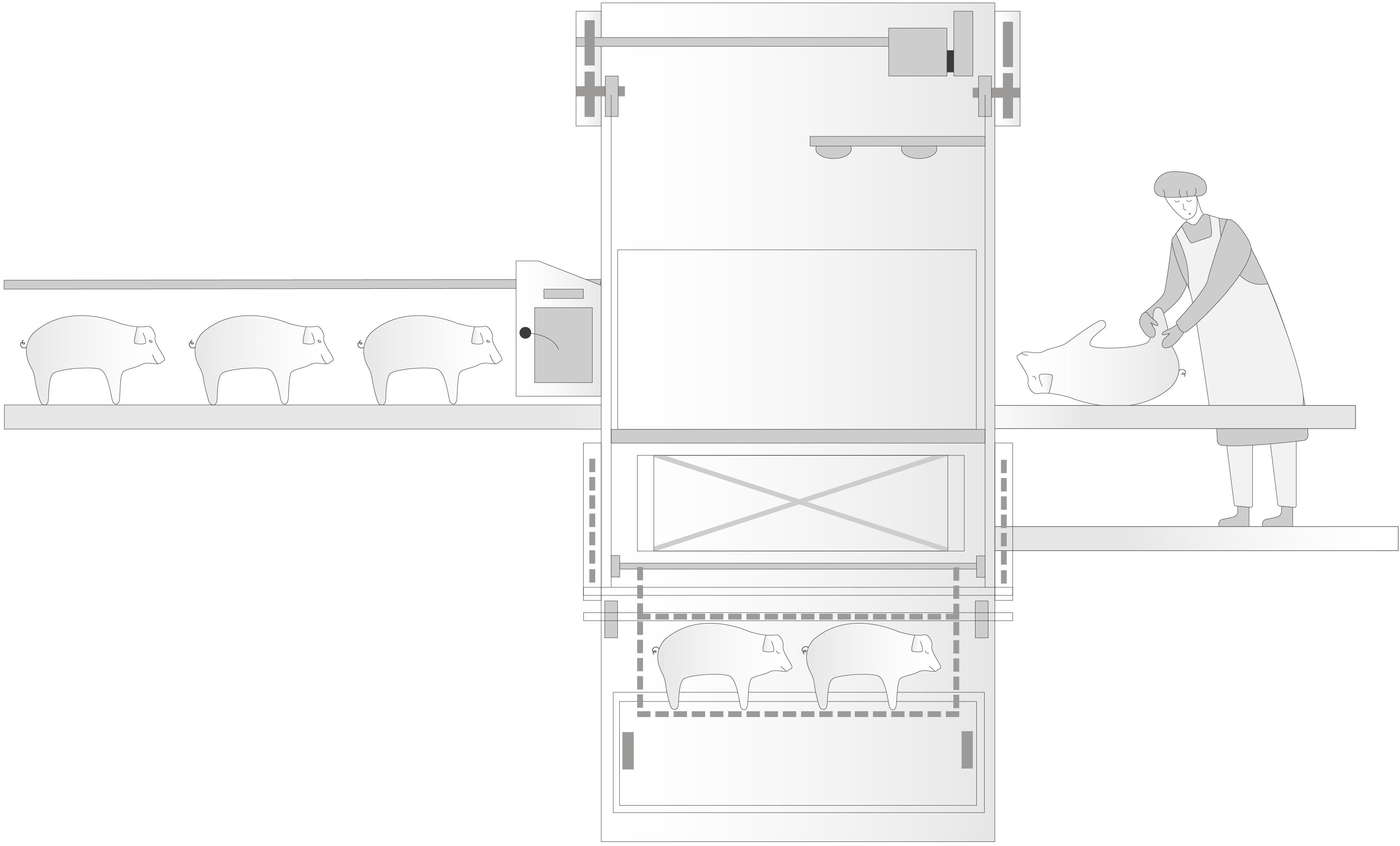 Diagram of a livestock slaughter process. Pigs on a conveyor belt approach a vertical chamber. A person stands beside, maneuvering a pig. Arrows indicate movement directions. Machinery components are labeled.