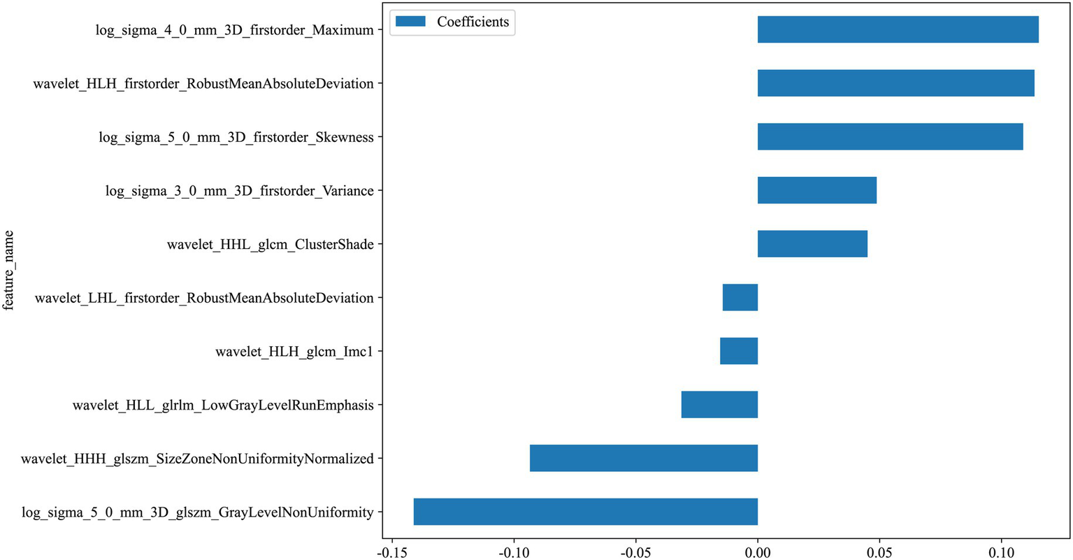Bar chart depicting feature coefficients. The x-axis represents coefficients from negative 0.15 to positive 0.15. The y-axis lists features such as "log_sigma_4_0_mm_3D_firstorder_Maximum" and others. Positive coefficients are shown for features like "log_sigma_4_0_mm_3D_firstorder_Maximum", while "log_sigma_5_0_mm_3D_glszm_GrayLevelNonUniformity" has a strong negative coefficient.