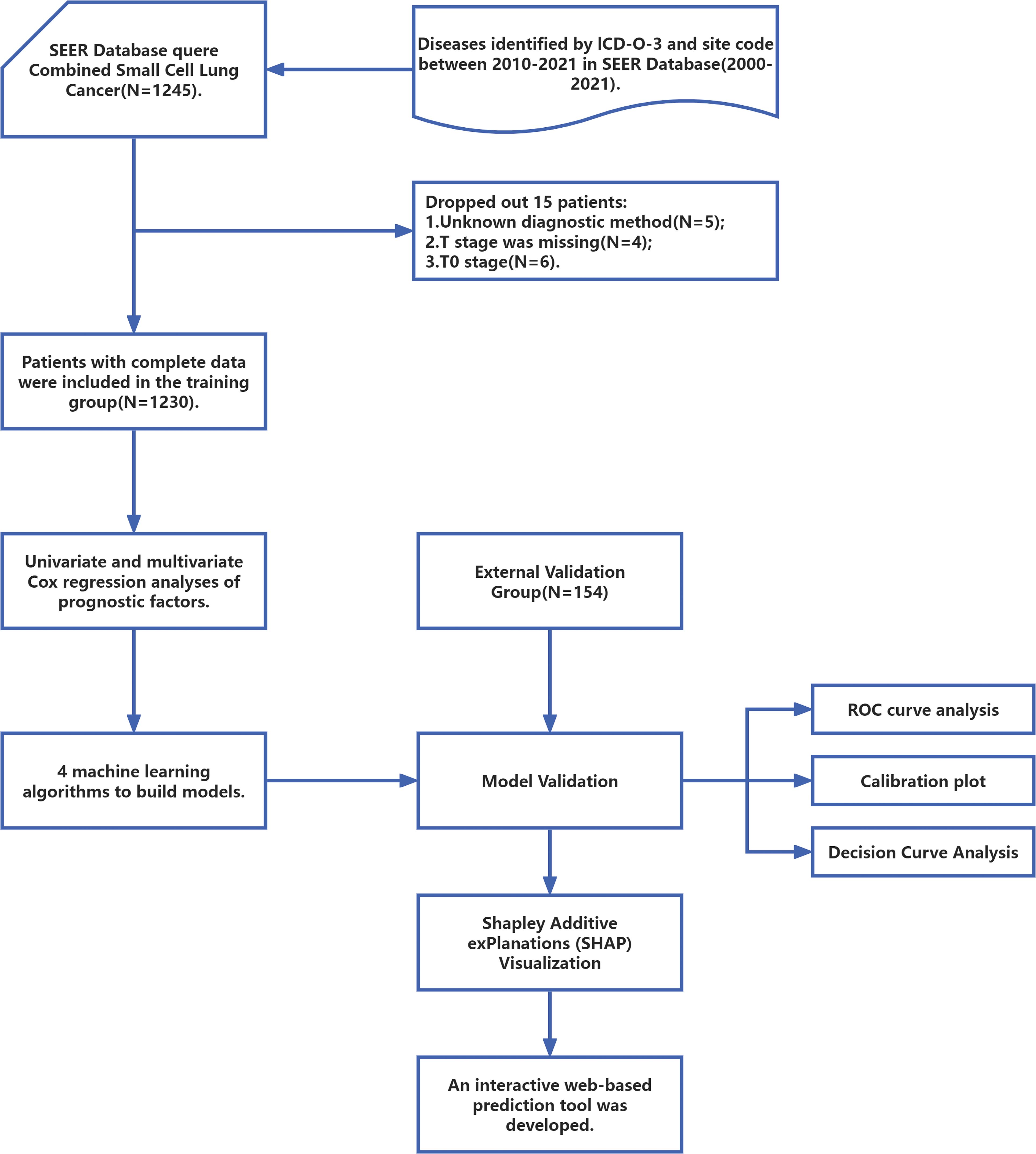 Flowchart detailing the process of developing a predictive model for small cell lung cancer using the SEER database. Begins with data extraction of 1,245 cases from 2010 to 2021. After discarding 15 incomplete cases, 1,230 cases are used for training. Cox regression analyses identify prognostic factors, and four machine learning algorithms are employed. An external validation group of 154 cases and techniques such as ROC curve analysis, calibration plot, and decision curve analysis validate the model. SHAP visualization is used before developing an interactive web-based prediction tool.