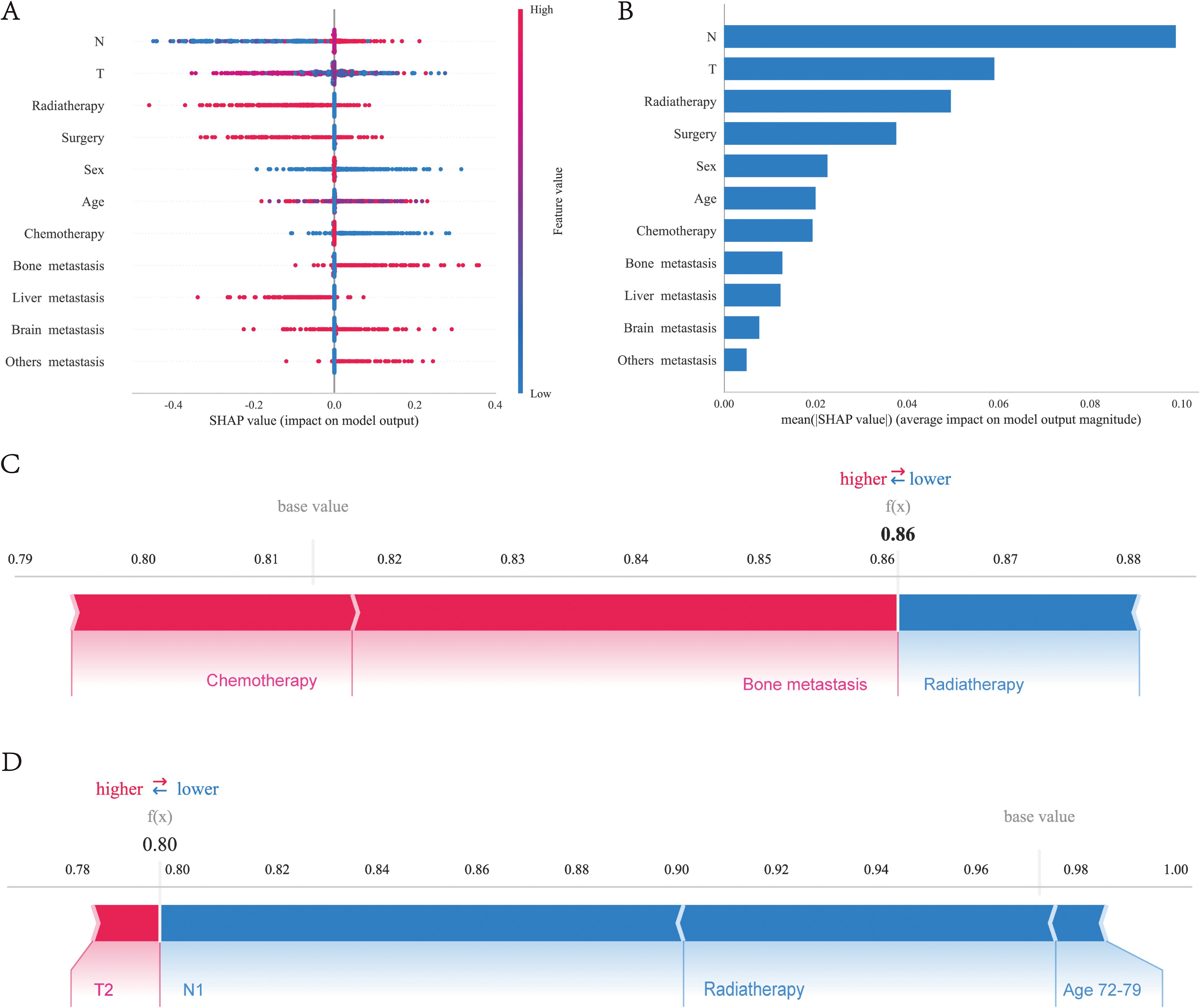 Grouped image showing machine learning model interpretations using SHAP values. Panel A is a scatter plot displaying SHAP values for features like radiotherapy and chemotherapy, reflecting their impact on model output. Panel B is a bar chart showing the average impact of features, highlighting “N” and “T” as most impactful. Panel C is a waterfall plot showing contributions to an output value of 0.86, with chemotherapy and bone metastasis increasing the value, while radiotherapy decreases it. Panel D is another waterfall plot showing contributions to an output value of 0.80, indicating effects of T2, N1, and radiotherapy.
