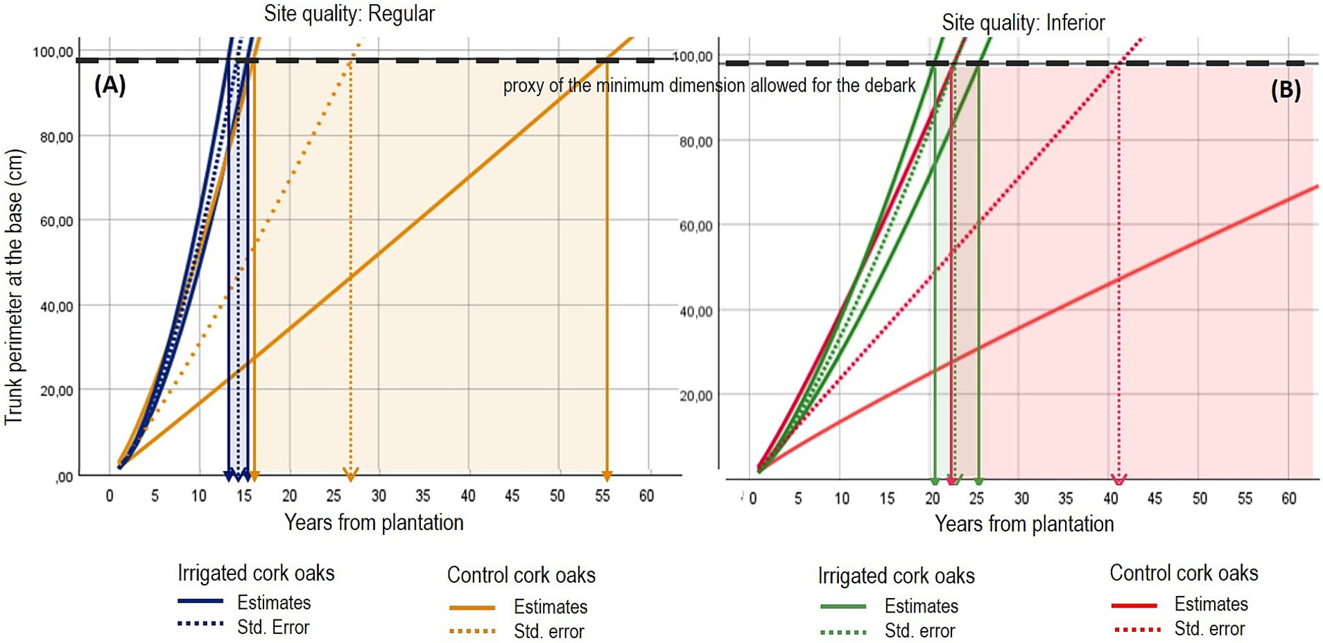 Graph depicting trunk perimeter of cork oaks over years from plantation. Panel A shows site quality regular, using blue for fertirrigation treatments and orange for control, solid line for estimates and dotted lines for errors. Panel B shows inferior site quality, using green for irrigated and red for control cork oaks, solid line for estimates and dotted lines for errors. The proxy line indicates the minimum perimeter at the base dimension for cork debark.