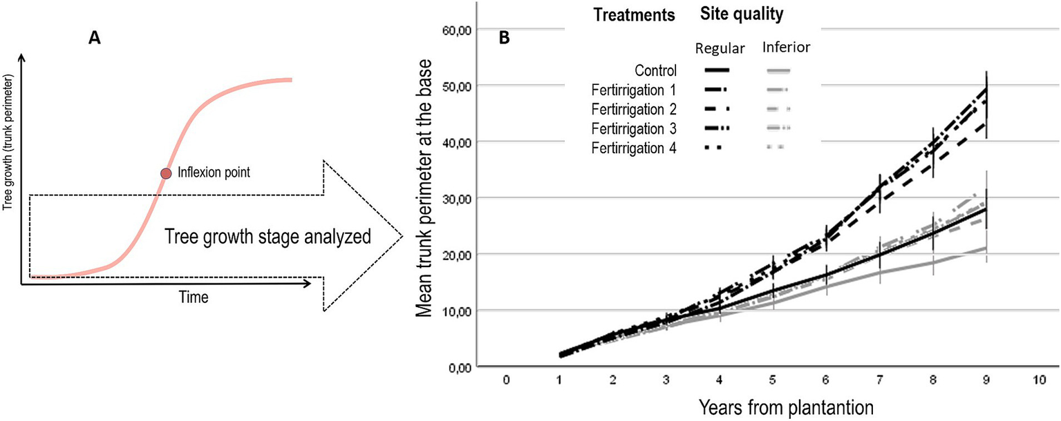 Graph A shows tree growth over time, with an inflection point indicating rapid growth phase analyzed. Graph B displays mean trunk perimeter over ten years across different treatments and site qualities, with multiple trend lines comparing control and four fertilirrigation types on regular and inferior quality sites.