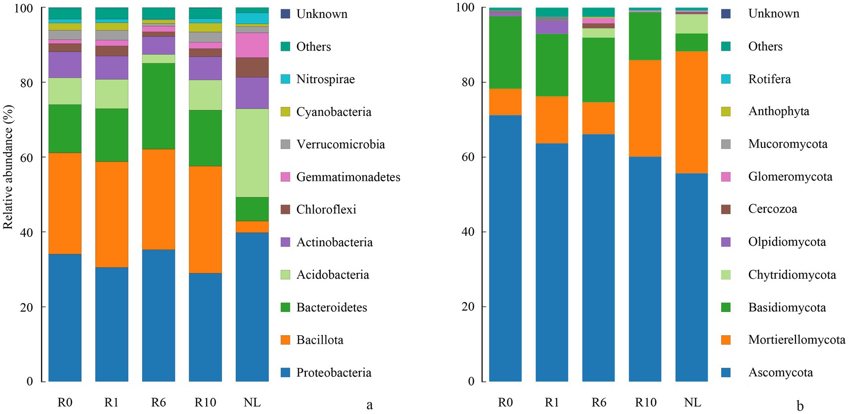 Bar graphs showing the relative abundance of microbial communities. The left graph (a) represents bacterial and archaeal communities, highlighting groups such as Proteobacteria, Bacillota, and Bacteroidetes. The right graph (b) shows eukaryotic communities, including Ascomycota and Basidiomycota. Both graphs have sample categories R0, R1, R6, R10, NL on the x-axis, with different colored bars representing specific microbial groups on the y-axis denoting relative abundance percentage. A legend on each side identifies the color-coded microbial groups.
