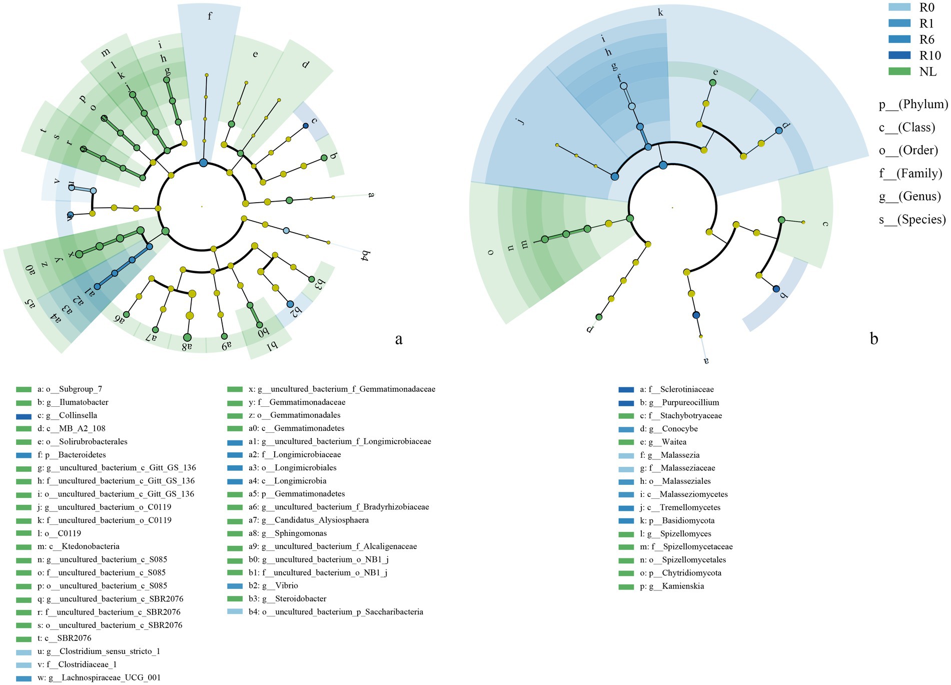 Two phylogenetic trees labeled