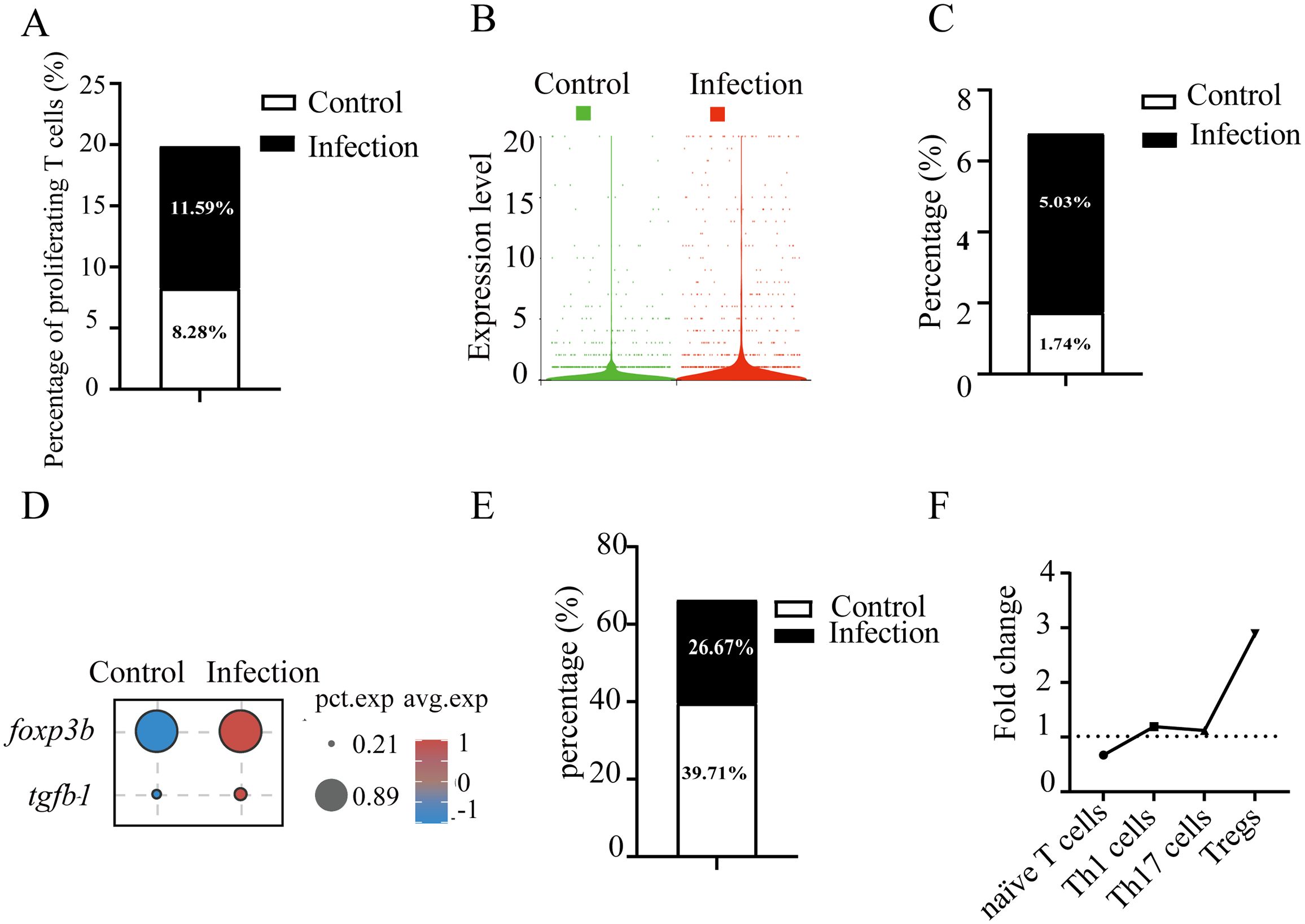 Composite of six graphs comparing immune responses between control and infection groups. A: Stacked bar chart showing higher proliferating T cells in infection group (11.59%) versus control (8.28%). B: Violin plot depicting expression levels, higher in infection. C: Stacked bar chart with a higher percentage in infection (5.03%) than control (1.74%). D: Dot plot illustrating gene expression changes in foxp3b and tgfb1, with increased expression in infection. E: Bar chart showing a lower percentage in infection (26.67%) compared to control (39.71%). F: Line graph indicating fold change in cell types, with Tregs showing significant increase in infection.