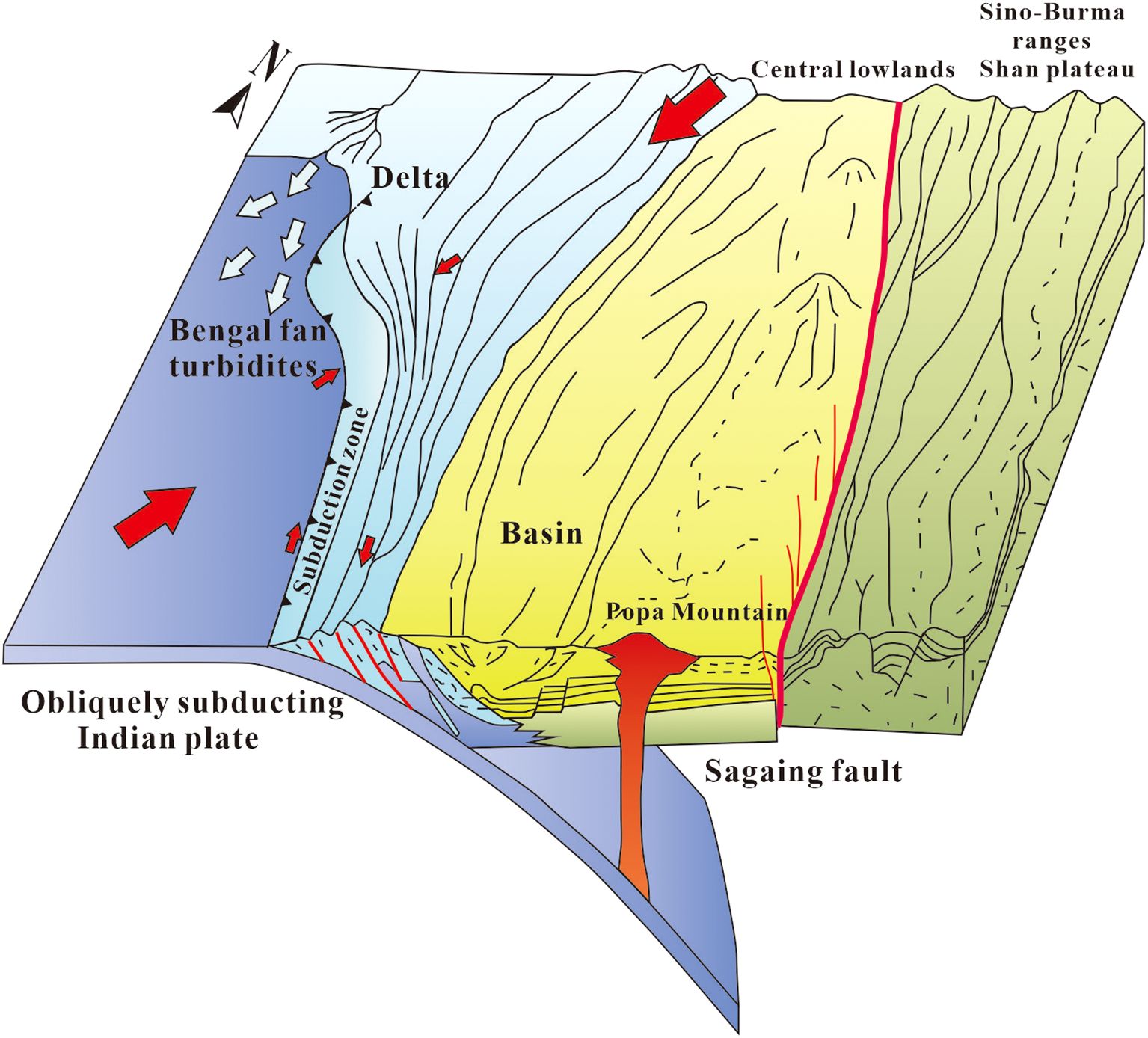 Cross-sectional diagram showing geological features. The left section illustrates the obliquely subducting Indian plate beneath a delta, with Bengal fan turbidites and a subduction zone. The central basin includes Popa Mountain. Right side features the Sagaing fault with the Shan plateau and Sino-Burma ranges. Arrows indicate tectonic movements.