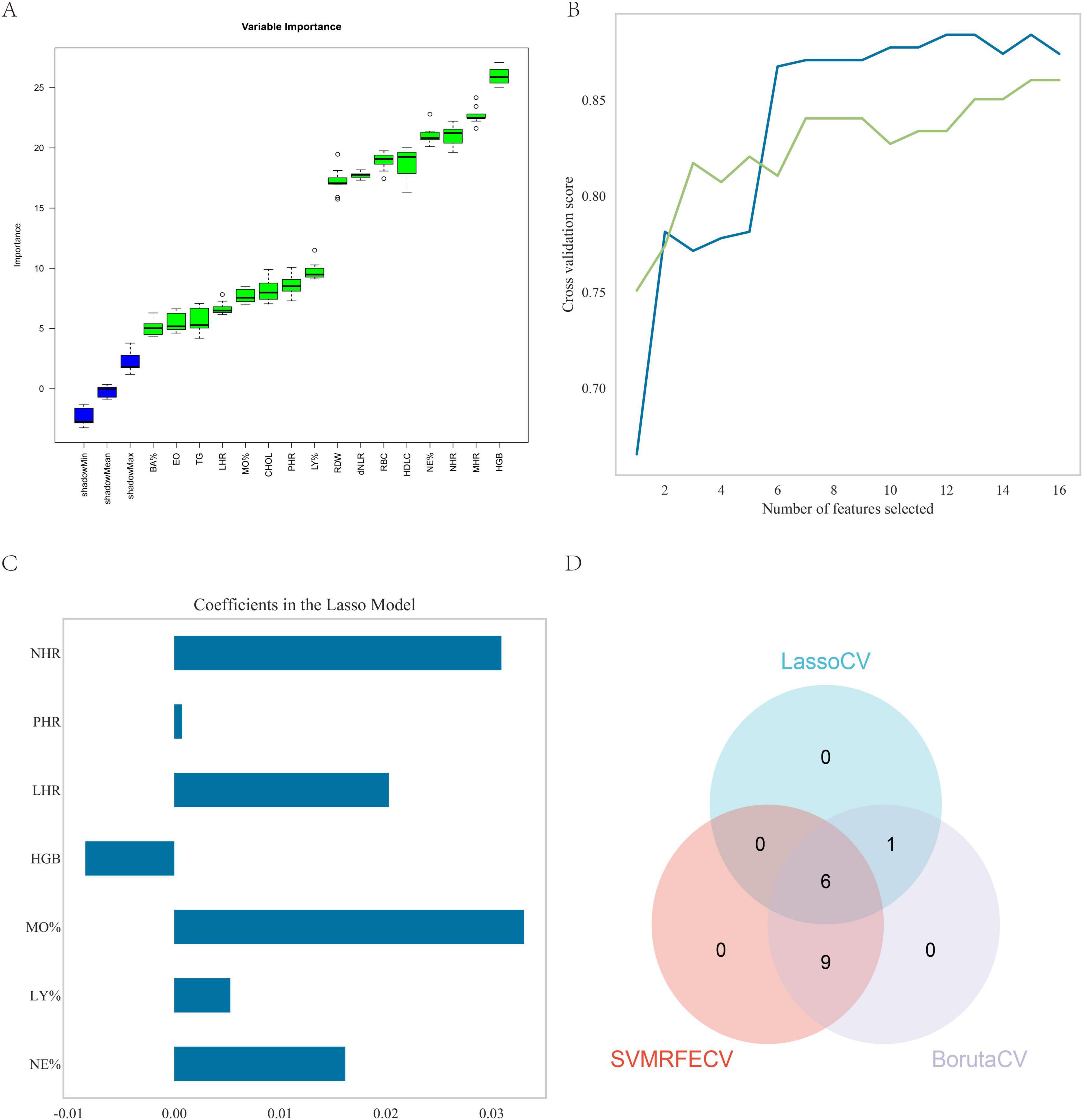 Panel A shows a box plot of variable importance with features ranked from least to most important, colored in blue and green. Panel B presents a line graph depicting cross-validation scores against the number of features selected, with two lines in distinct colors. Panel C displays a bar chart of coefficients in the Lasso model for various variables. Panel D features a Venn diagram indicating the overlap of selected features among three models: LassoCV, SVMRFECV, and BorutaCV.