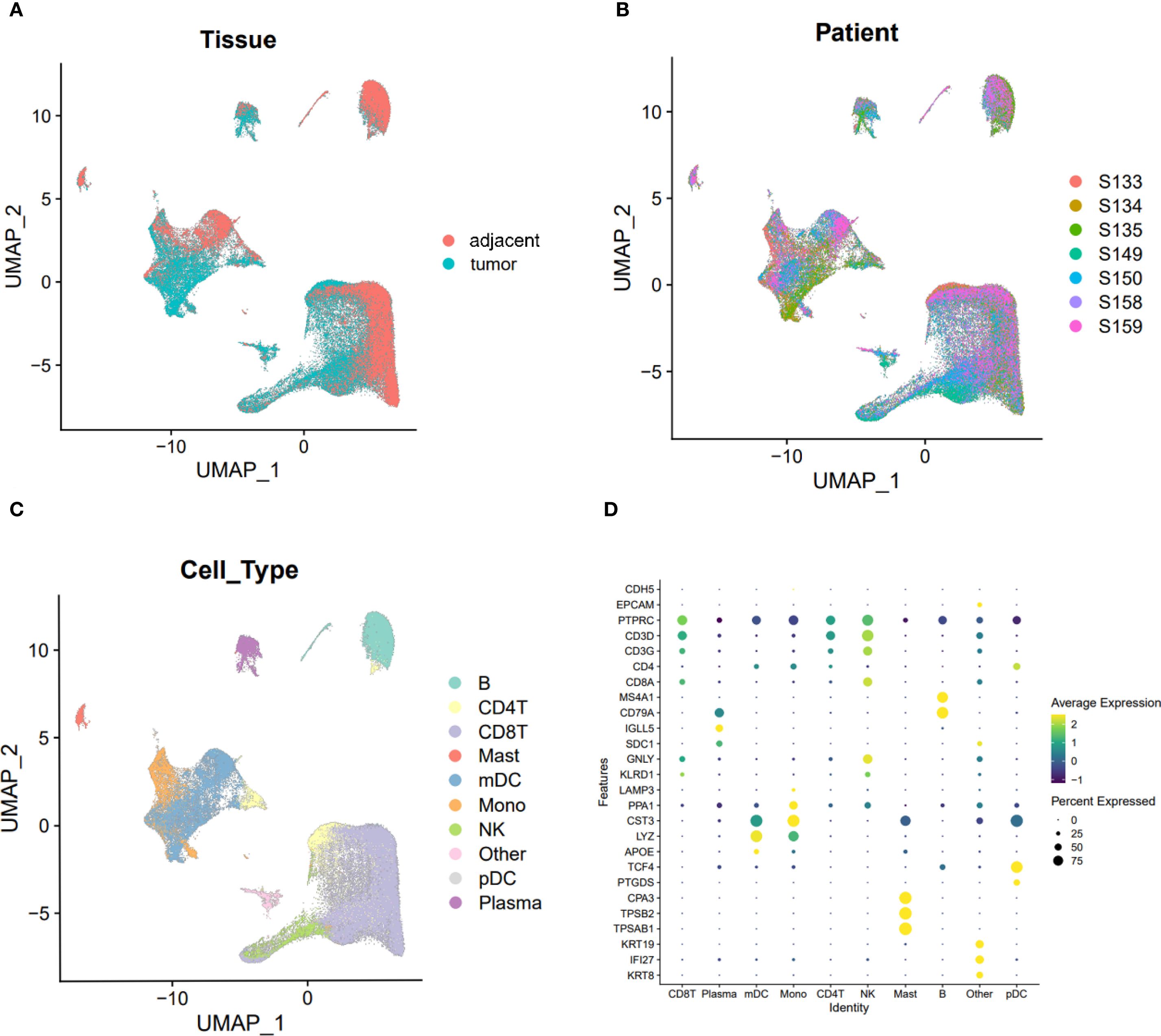Four-panel figure showing UMAP plots and a dot plot. Panel A: UMAP plot labeled “Tissue” with clusters in red (adjacent) and teal (tumor). Panel B: UMAP plot labeled “Patient” showing clusters in multiple colors, each representing a different patient. Panel C: UMAP plot labeled “Cell_Type” with clusters identified by cell type, colored differently. Panel D: Dot plot depicting gene expression levels across different cell identities with dot size indicating percent expression and color representing average expression levels.