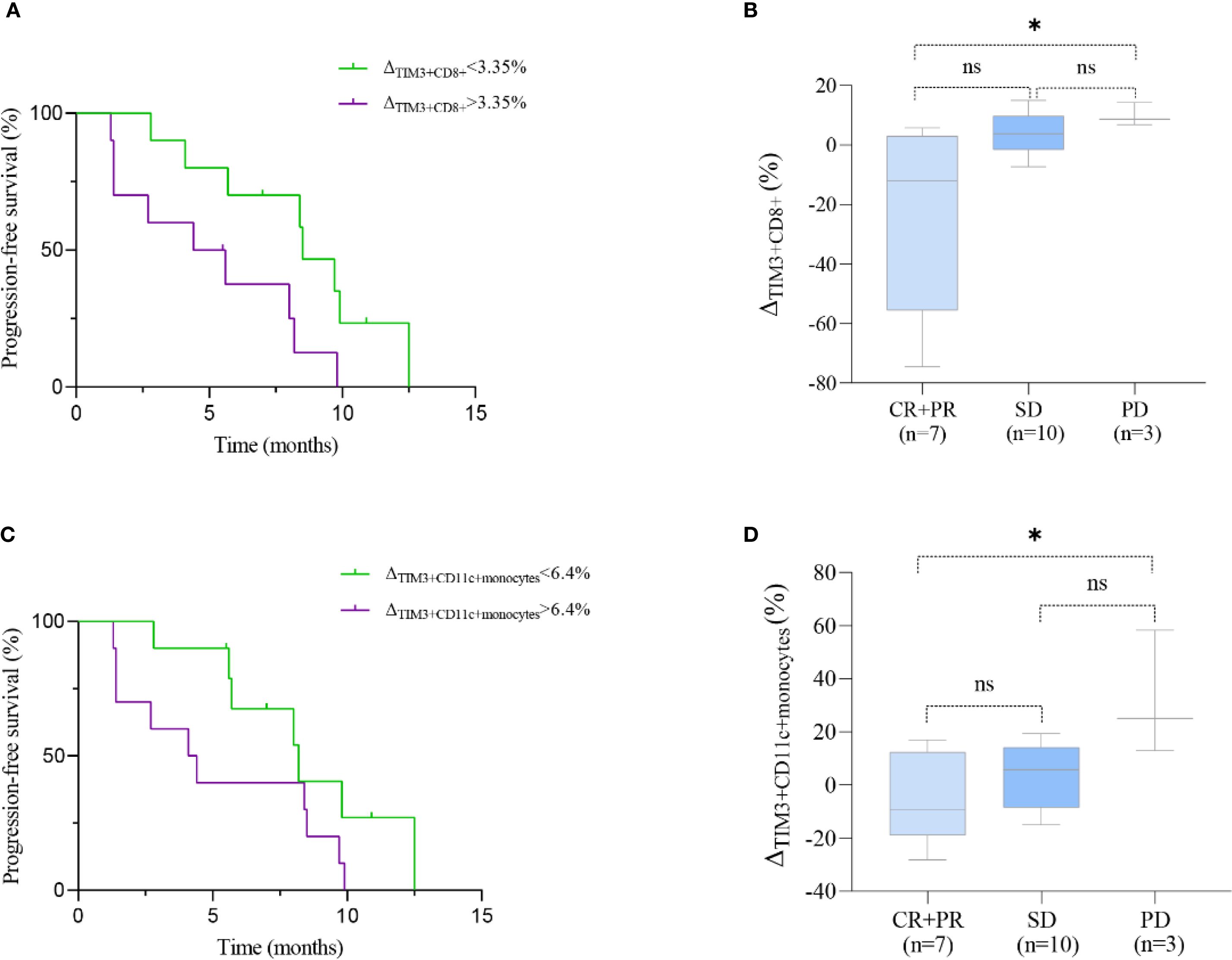 Graph A shows a Kaplan-Meier curve for progression-free survival over 15 months, comparing groups based on ΔTIM3+CD8+ levels. Graph B features a box plot illustrating ΔTIM3+CD8+ differences among CR+PR, SD, and PD groups. Graph C presents another Kaplan-Meier curve, contrasting progression-free survival with ΔTIM3+CD11c+monocytes levels. Graph D contains a box plot showing ΔTIM3+CD11c+monocytes across the same patient groups. Significant differences are marked with asterisks, and “ns” denotes non-significant comparisons.