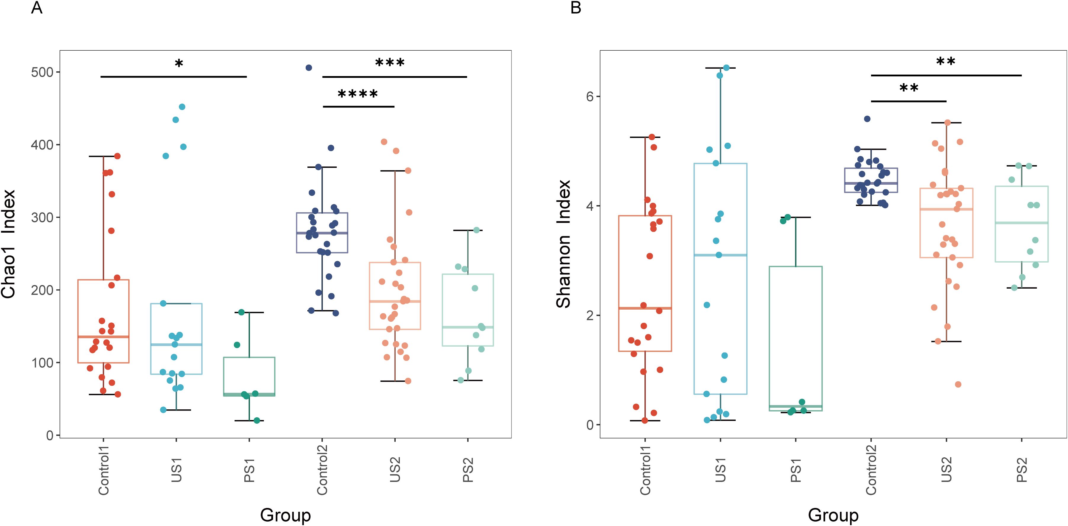 Box plots comparing Chao1 and Shannon indices across different groups: Control1, US1, PS1, Control2, US2, and PS2. Significant differences are indicated with asterisks. Panel A shows the Chao1 index; Panel B shows the Shannon index. Each dot represents a sample within the groups.