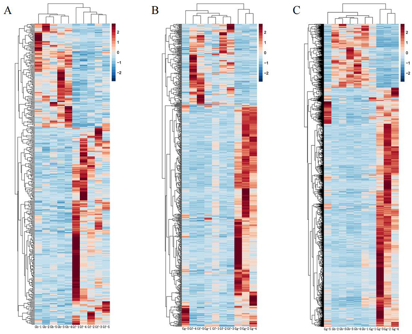 Three clustered heatmaps labeled A, B, and C show variations in data. Each map uses a color gradient from blue to red, indicating changes from low to high values. Hierarchical trees on the top and left side illustrate clustering patterns.