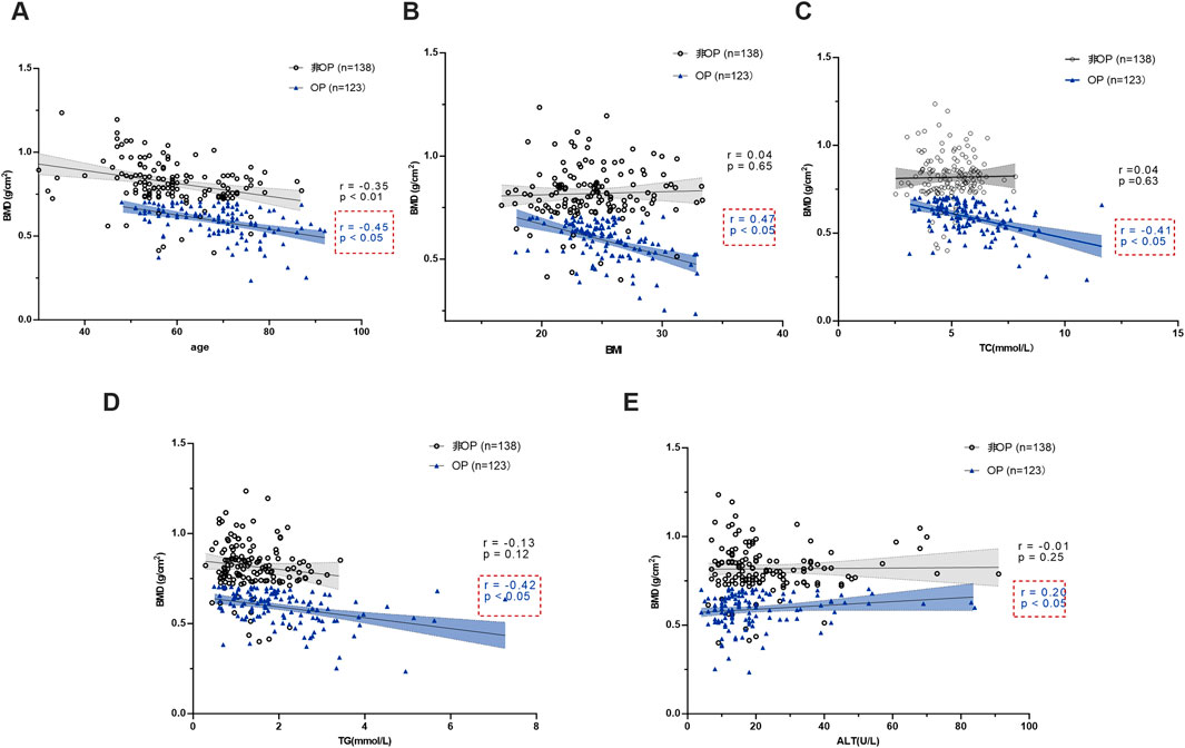 Five scatter plots labeled A to E show the relationship between BMD (g/cm²) and different variables for two groups: non-OP (circles) and OP (triangles). Each graph includes a correlation coefficient and p-value. Panel A shows age, B shows BMI, C shows TC, D shows TG, and E shows ALT. Trends and significances vary, with some panels indicating significant correlations.