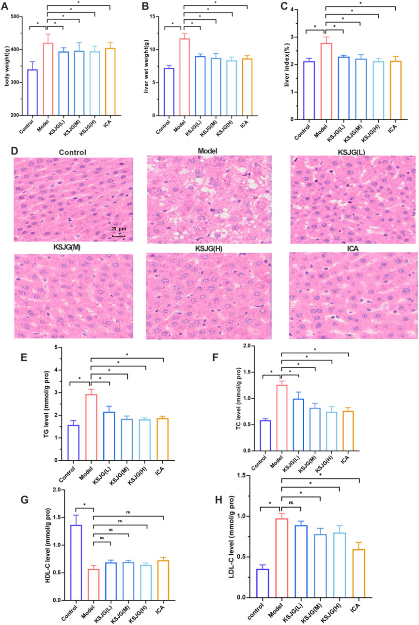 Graph panels A, B, C, E, F, G, and H show bar charts comparing different treatments on body weight, liver weight, liver index, and various lipid levels. Significant differences are marked. Panel D displays histological images of liver tissue under different conditions: Control, Model, KSJG at various doses, and ICA.