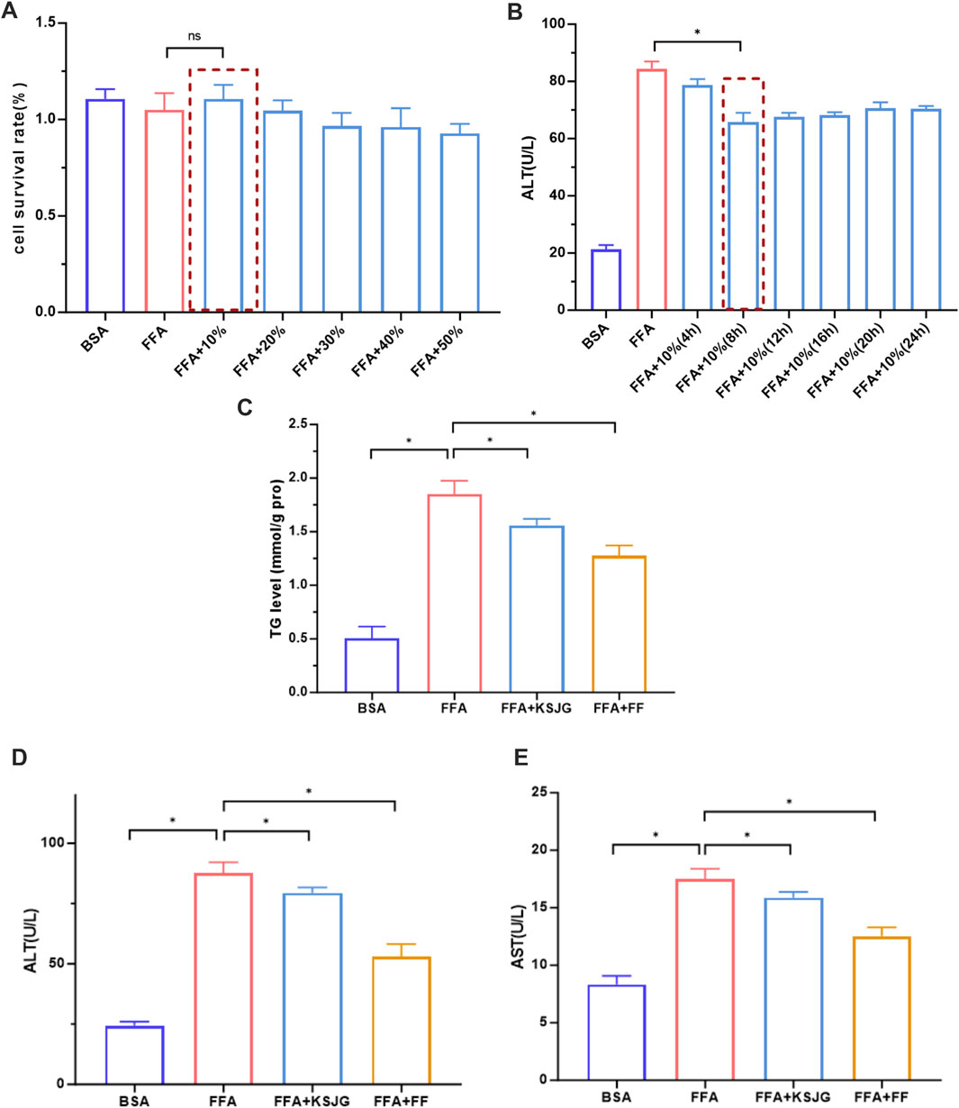 Bar graphs labeled A to E show different biochemical measurements under various conditions. Graph A presents cell survival rates, with FFA+10% showing no significant difference. Graph B shows ALT levels, with significant differences noted. Graph C depicts TG levels, highlighting significant changes across conditions. Graphs D and E illustrate ALT and AST levels, respectively, with marked differences in specific conditions. Asterisks indicate statistical significance, conveying treatment effects.
