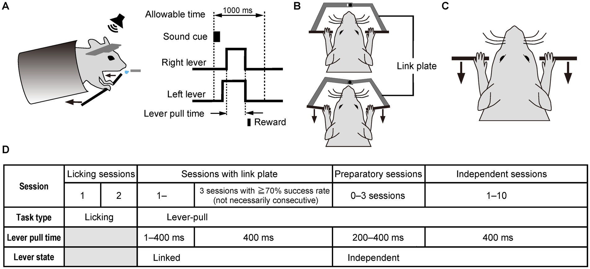 Illustration depicting an animal experiment setup. Panel A shows a rodent interacting with levers and a sound cue, with a diagram detailing lever pull times and reward conditions. Panel B illustrates a rodent pulling levers with a link plate. Panel C displays a rodent independently manipulating levers. Panel D is a table outlining session types, tasks, lever pull times, and lever states across different experimental phases.