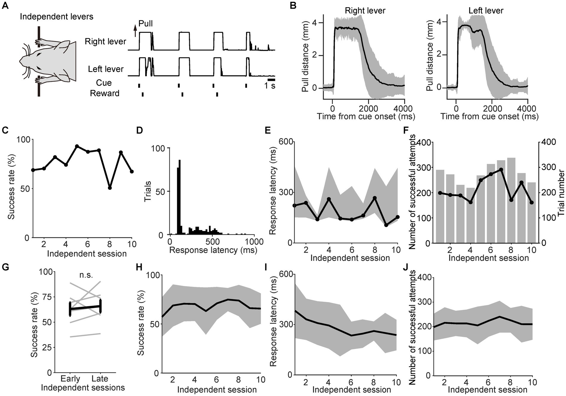 Diagram showing data on mouse lever-pulling tasks. (A) Illustration of a mouse using independent levers, with a graph of right and left lever pulls over time. (B) Graphs show pull distance from the cue onset for both levers. (C) Success rate (%) across independent sessions. (D) Histogram of response latency (ms) during trials. (E) Response latency (ms) by session. (F) Successful attempts number and trial number across sessions. (G) Success rate comparison between early and late sessions, showing no significant difference. (H-J) Additional line graphs with shaded error regions display success rate, response latency, and successful attempts over sessions.