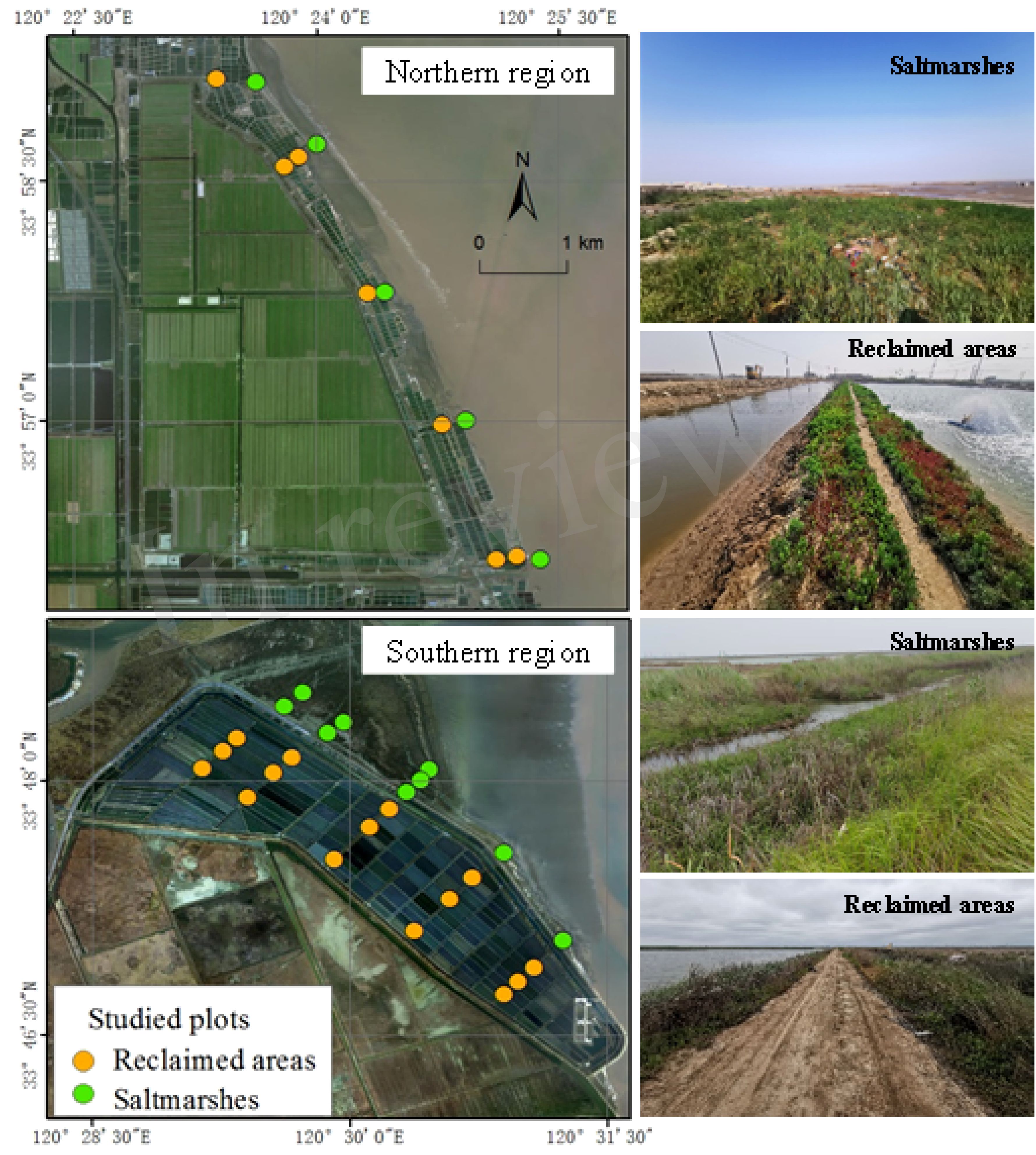 Satellite maps show two regions: Northern and Southern. Colored dots represent studied plots, with green for saltmarshes and orange for reclaimed areas. Photos on the right display landscapes of saltmarshes, with lush vegetation, and reclaimed areas, featuring structured terrain and cultivation.
