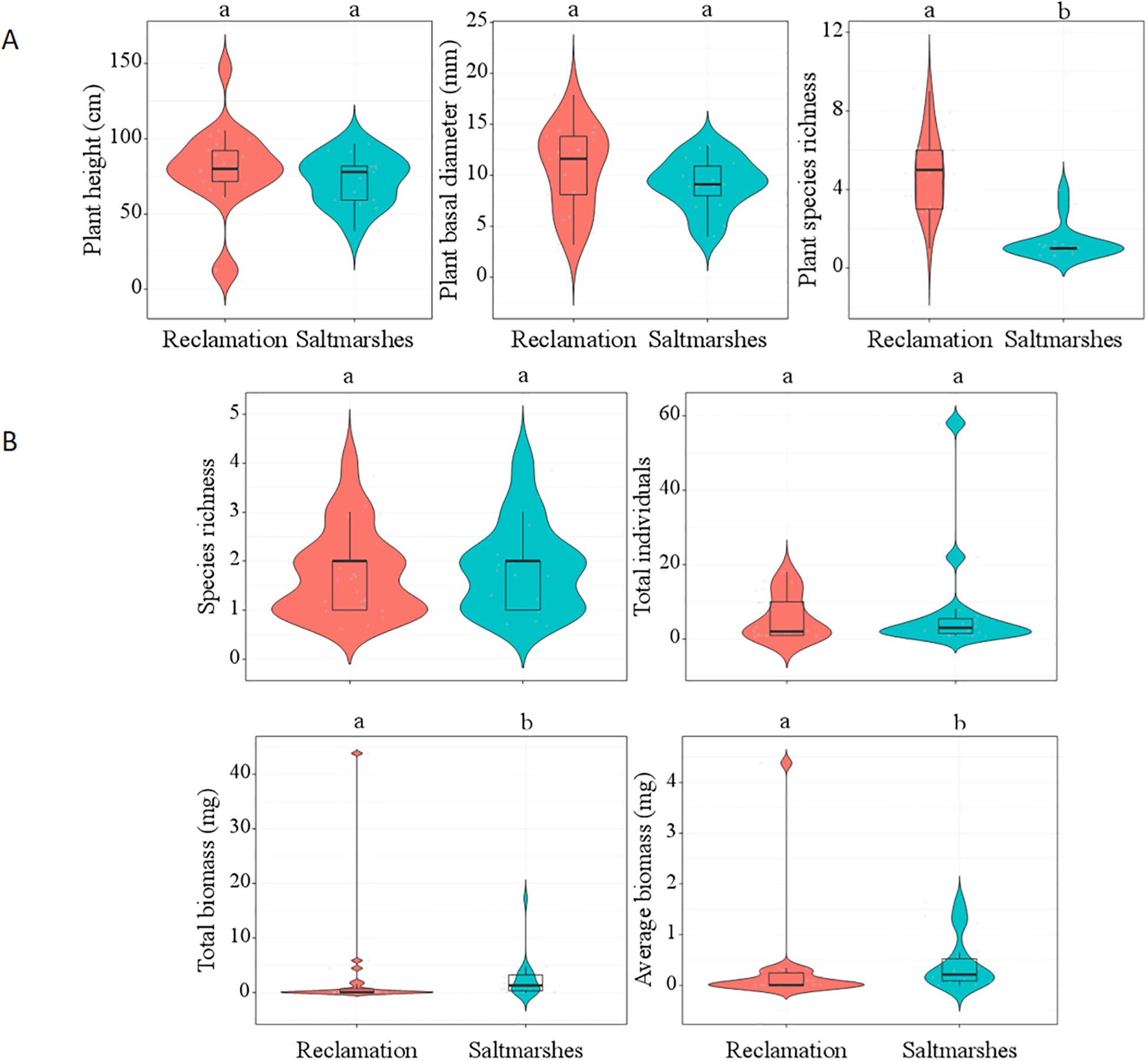Violin plots comparing various metrics between reclamation and saltmarshes. Panel A shows plant height, basal diameter, and species richness. Panel B presents species richness, total individuals, total biomass, and average biomass. Each plot features two violins, one for each environment, with box plots inside indicating data distribution. Letters at the top indicate statistical significance between groups.