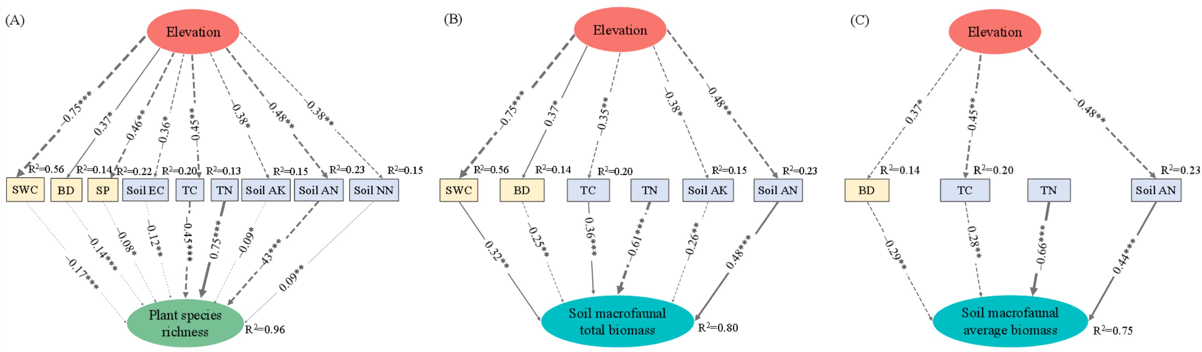 Three path diagrams (A, B, C) illustrating relationships between elevation and factors like soil water content, bulk density, and various soil components. Each diagram shows differing relationships and R-squared values. Diagram A focuses on plant species richness, B on soil macrofaunal total biomass, and C on soil macrofaunal average biomass. Arrows indicate direction and strength of relationships with distinct values.