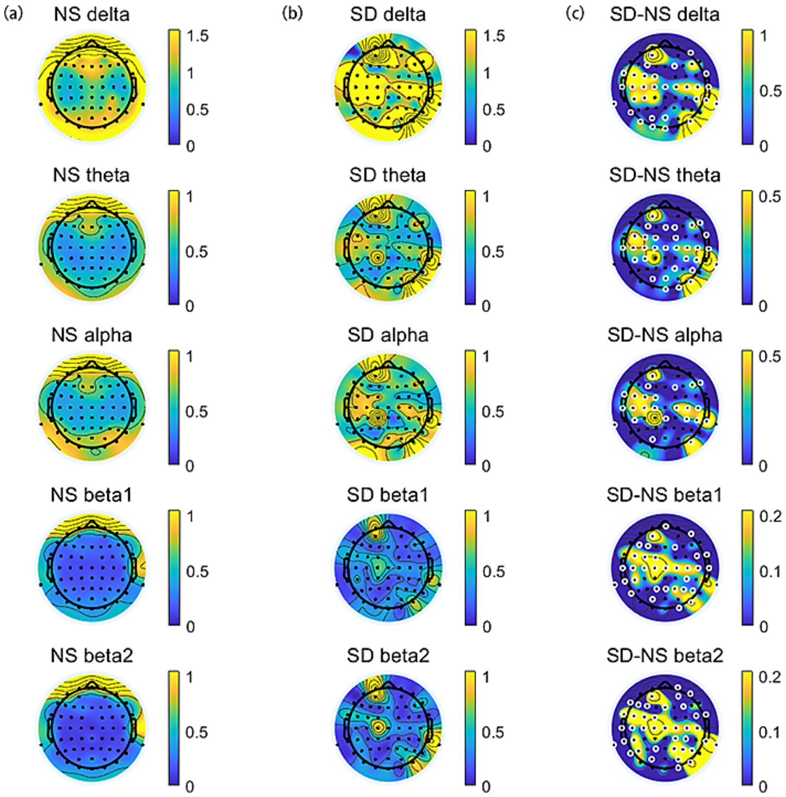 Brain activity maps are organized into three columns labeled (a), (b), and (c). Each column consists of five circular topographic maps showing different frequency bands: delta, theta, alpha, beta1, and beta2. The first column shows