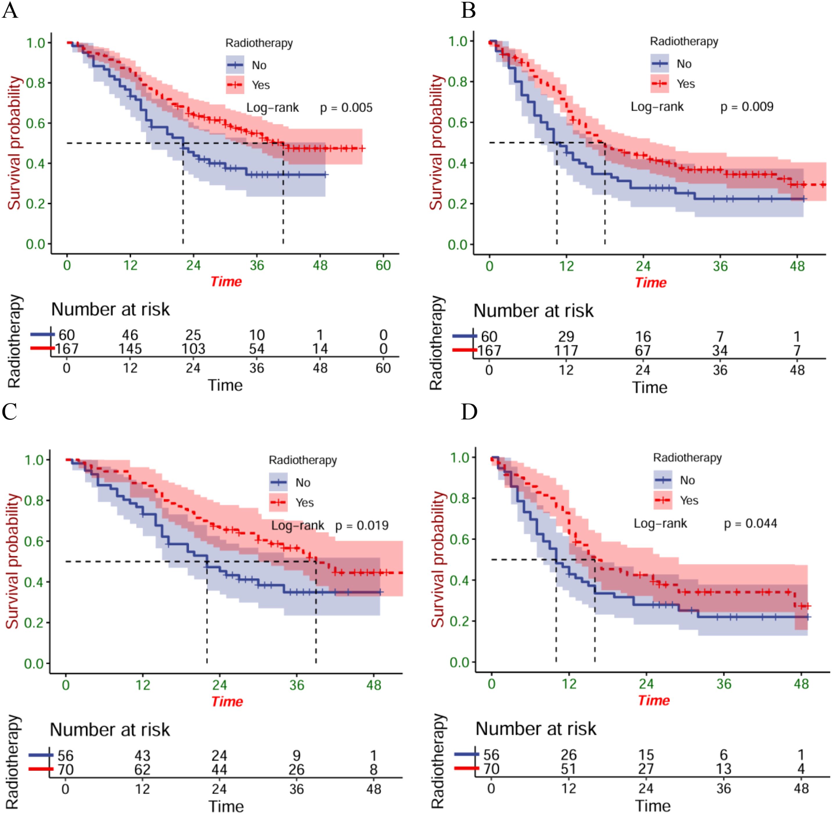 Four Kaplan-Meier survival curves labeled A, B, C, and D compare survival probabilities over time with and without radiotherapy. Radiotherapy groups (red) have higher survival rates than non-radiotherapy groups (blue). Log-rank p-values for each graph are 0.005, 0.009, 0.019, and 0.044 respectively. Each chart includes a risk table.