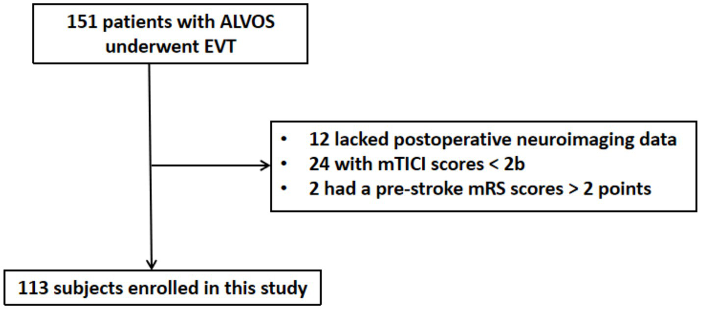 Flowchart showing 151 patients with ALVOS underwent EVT. Exclusions: 12 lacked postoperative neuroimaging data, 24 with mTICI scores less than 2b, 2 had pre-stroke mRS scores greater than 2 points. Result: 113 subjects enrolled in the study.