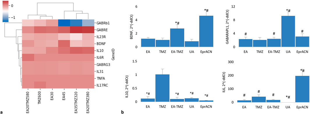 Expression of genes encoding brain-related proteins and cytokines. (a) Clustered HeatMap of RNAseq data showing the expression levels of various genes. None of the genes were found to be significantly regulated. Genes include GABRB1: gamma-aminobutyric acid receptor (GABR) subunit beta 1; GABRE: GABR subunit epsilon; GABRG3: GABR subunit gamma 3; BDNF: brain-derived neurotrophic factor; IL10: interleukin 10; IL6R: interleukin 6 receptor; TNFa: tumor necrosis factor a; IL23R: interleukin 23 receptor; IL31: interleukin 31; IL17RC: interleukin 17 receptor. (b) Histograms showing mRNA levels based on qRT-PCR data. Concentrations: EA – 45 μM, TMZ – 600 μM, EA-TMZ – 35-320 μM, UA – 200 μM, and EprACN – 30 μg/ml. GABARAPL1: GABAA receptor-associated protein-like 1.