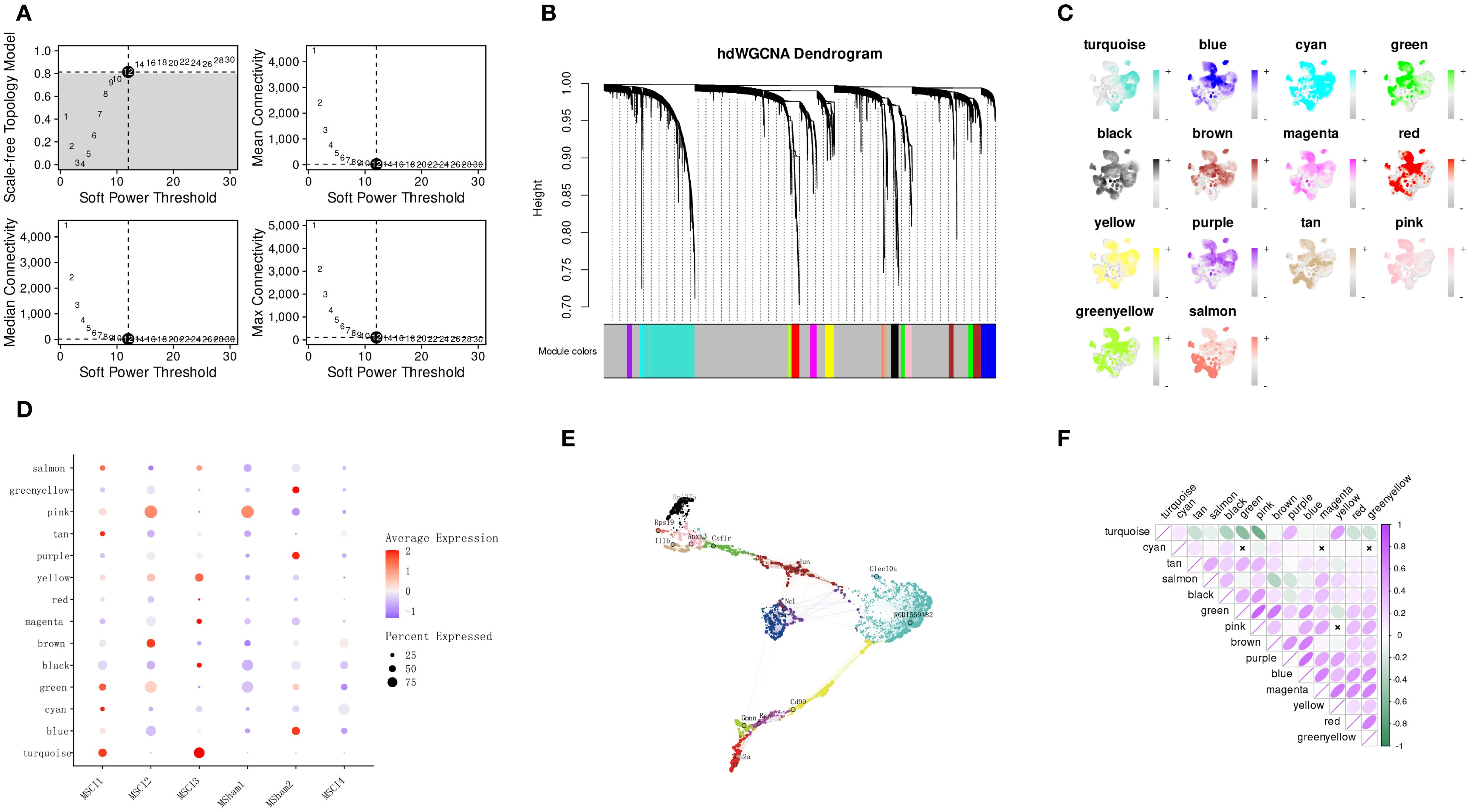 Composite image showing various data visualizations for gene expression analysis: A) Four line graphs depict the scale-free topology model, mean, median, and max connectivity versus soft power threshold. B) A dendrogram with module colors represents hierarchical clustering. C) Scatter plots in multiple colors illustrate gene module expressions. D) A bubble plot correlates average expression with percentage expressed across different modules. E) A network graph visualizes gene connections and clusters. F) A correlation matrix with color-coded ellipses indicates the relationships between different modules.