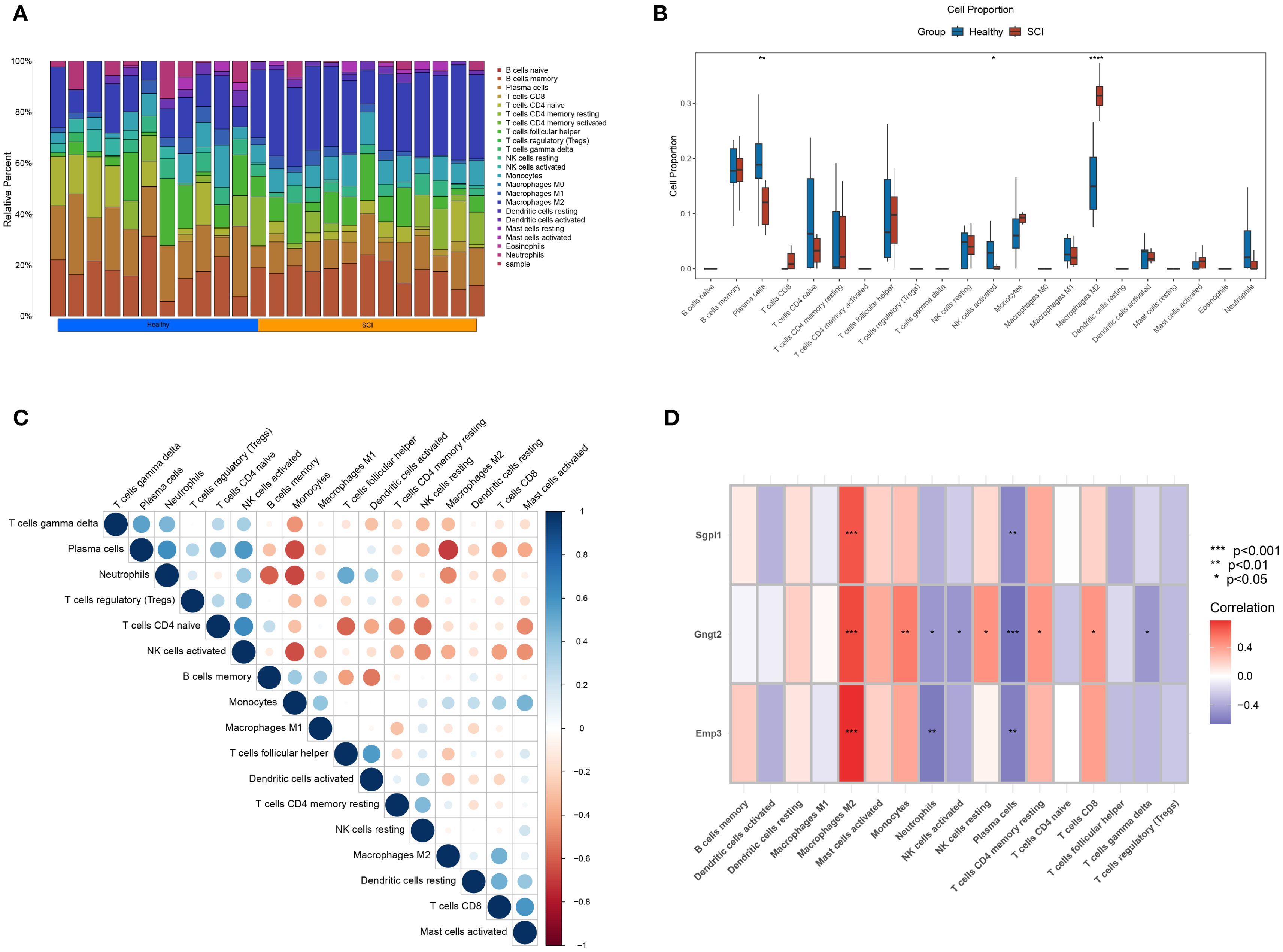 Charts comparing data between healthy and SCI groups. A: Stacked bar chart of cell type proportions. B: Box plots show cell proportions, highlighting differences. C: Correlation matrix of cell types. D: Heatmap of gene expression correlations with significance levels.