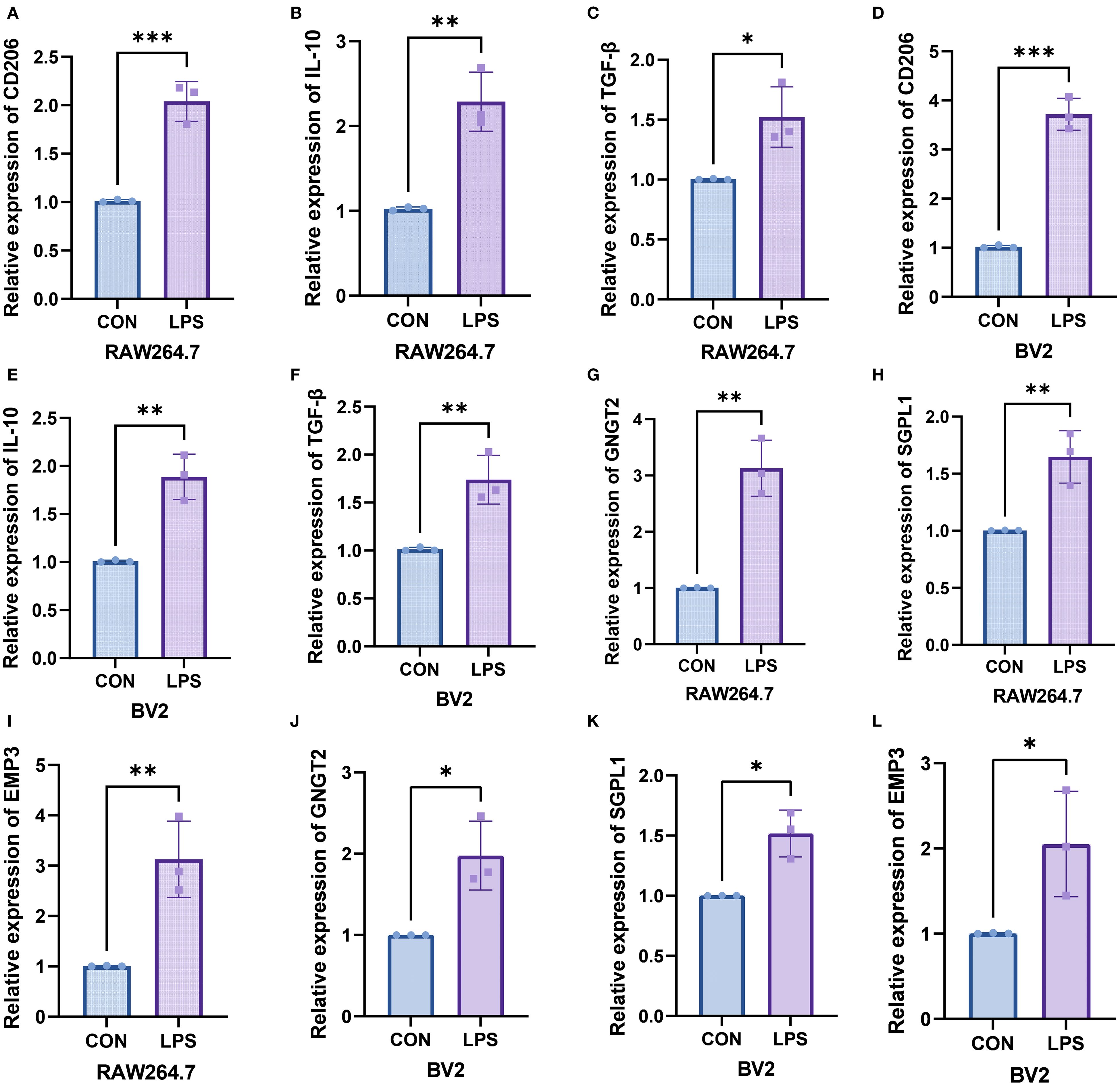 Bar charts showing the relative expression of various genes in RAW264.7 and BV2 cells under control (CON) and LPS conditions. Panels A to L display increased gene expression following LPS treatment, with statistical significance indicated by asterisks: one asterisk for p<0.05, two for p<0.01, and three for p<0.001.