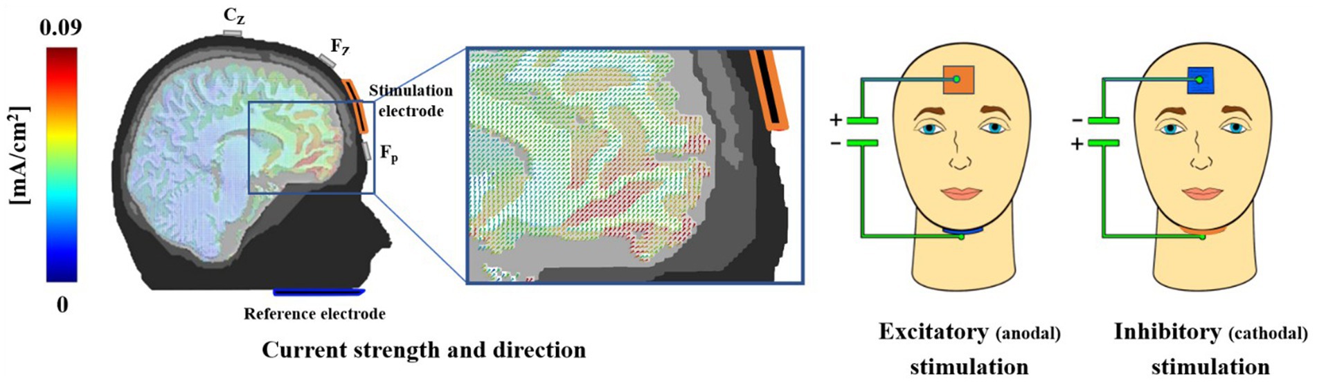 A diagram illustrating brain stimulation. The left panel shows a brain cross-section with color gradients indicating current strength from 0 to 0.09 mA/cm². Electrodes are placed at Cz and F7. The center zooms in on current direction patterns. The right section depicts two heads with electrode placements for excitatory (anodal) and inhibitory (cathodal) stimulation.