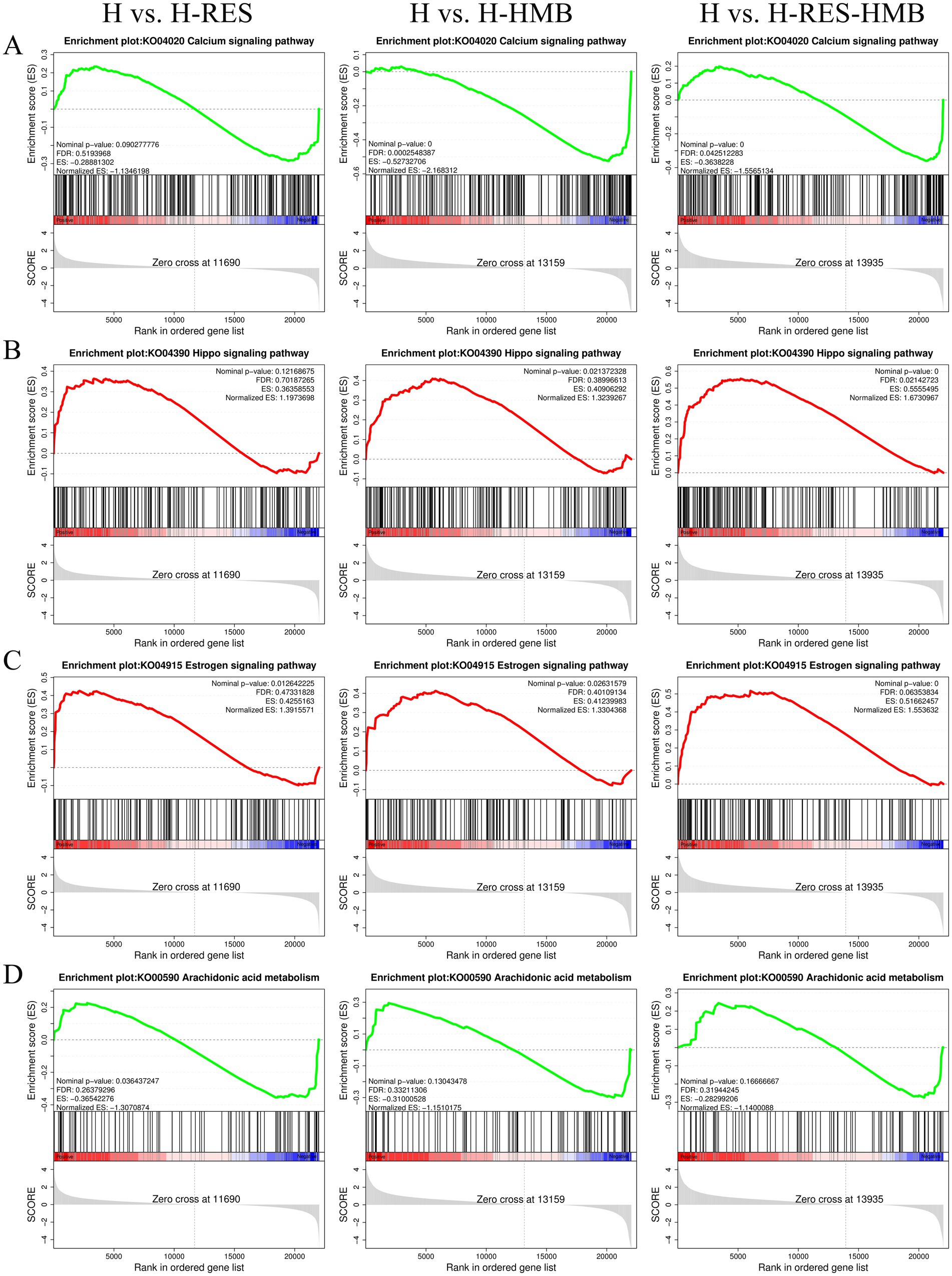 A series of enrichment plots depicting signaling pathways and metabolism across different comparisons. Panels A through D show results for calcium signaling, Hippo signaling, estrogen signaling, and arachidonic acid metabolism pathways, respectively. Each panel contains three plots comparing H with H-RES, H-HMB, and H-RES-HMB. The charts display enrichment scores, ranks in ordered gene lists, and zero cross points, accompanied by significance values such as nominal p-values, FDR, and normalized enrichment scores. The enrichment curves vary, indicating different pathway activations in each comparison.
