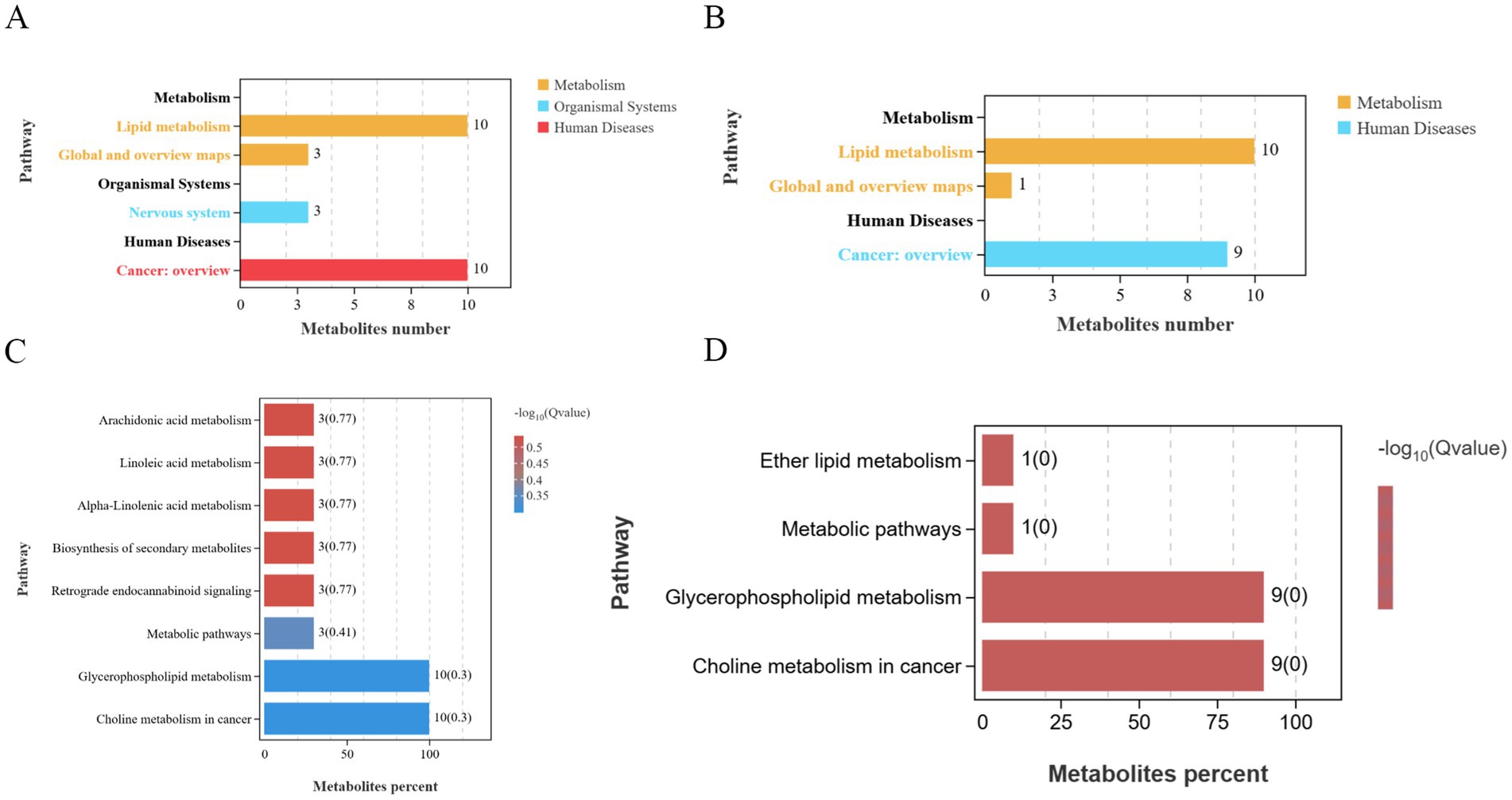 Four bar charts illustrating metabolite pathways and numbers. Chart A displays pathways related to metabolism, organismal systems, and human diseases. Chart B highlights lipid metabolism and cancer pathways. Chart C shows metabolite percentages for various lipid metabolisms. Chart D indicates pathways with their metabolite percentages, focusing on choline metabolism in cancer and glycerophospholipid metabolism.