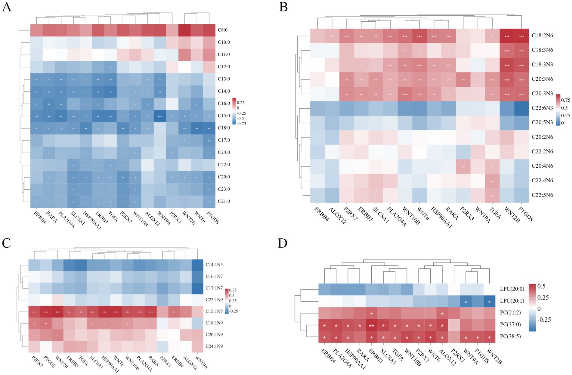 Four clustered heatmaps labeled A, B, C, and D, displaying correlation patterns. Rows contain different lipid types, while columns represent gene expressions. The color gradient ranges from blue (negative correlation) to red (positive correlation), with intensity indicating correlation strength. Dendrograms atop and alongside each heatmap suggest hierarchical clustering. Key lipid and gene symbols include ERBB4, PLA2G4A, WNT9A, and others. Small asterisks on certain squares indicate statistical significance.