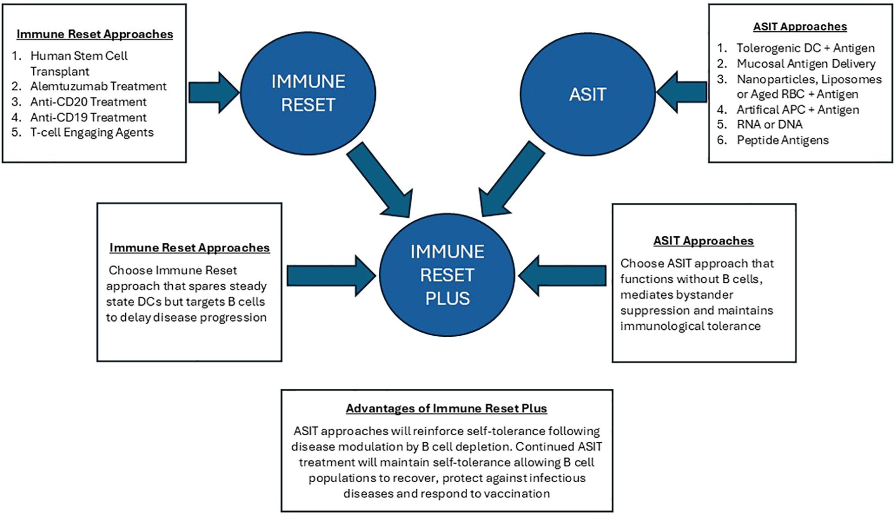 Flowchart illustrating immune reset strategies. Two main approaches, “Immune Reset” and “ASIT,” lead to “Immune Reset Plus.” Immune Reset involves treatments like Human Stem Cell Transplant and T-cell Engaging Agents. ASIT involves methods like Tolerogenic DC and Peptide Antigens. Immune Reset Plus emphasizes choosing strategies sparing steady state DCs but affecting B cells. Benefits include maintaining self-tolerance and aiding B cell recovery.