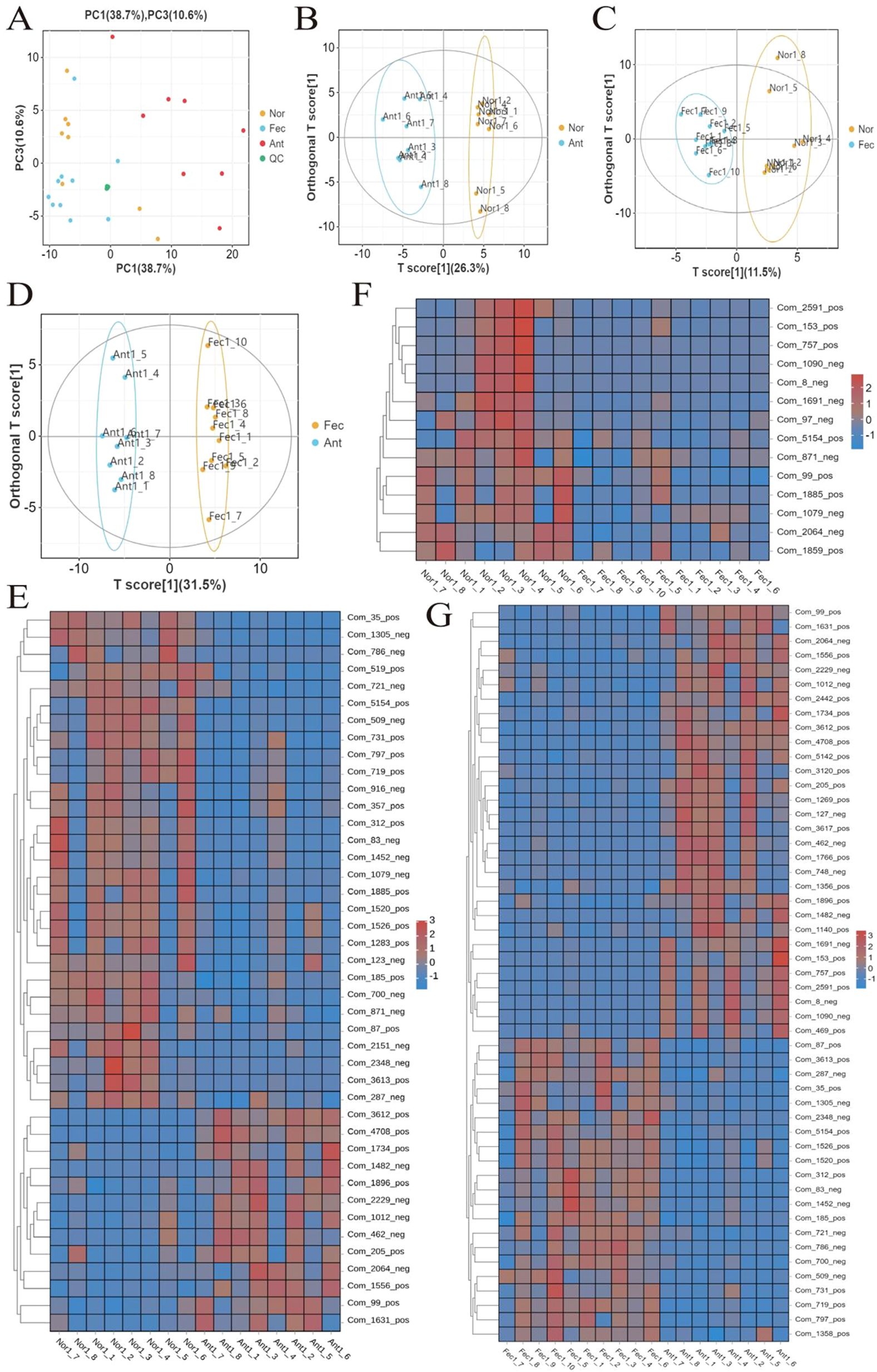 A multi-panel image displays various data analyses. Panel A shows a PCA plot with four groups: Nor, Fec, Ant, QC. Panels B, C, and D show OPLS-DA score plots with ellipses separating groups Ant and Fec. Panels E, F, and G display heat maps with color gradients from blue to red, indicating different levels of expression for multiple components across samples labeled Nor, Fec, and Ant. The heat maps show hierarchical clustering along both axes, grouping similar data points together.