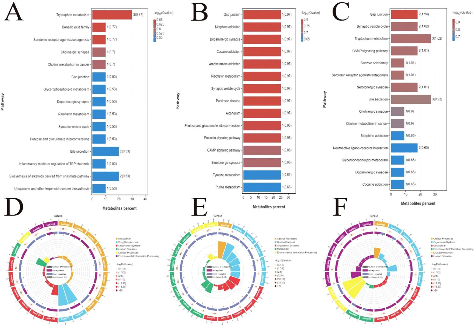 Panels A, B, and C depict bar graphs showing metabolic pathway enrichment with color gradients indicating significance levels based on the negative logarithm of Q values. Panels D, E, and F display circular plots categorizing pathways into different processes such as metabolism, human diseases, and cellular processes, with color-coded segments representing the number of metabolites and significance levels.