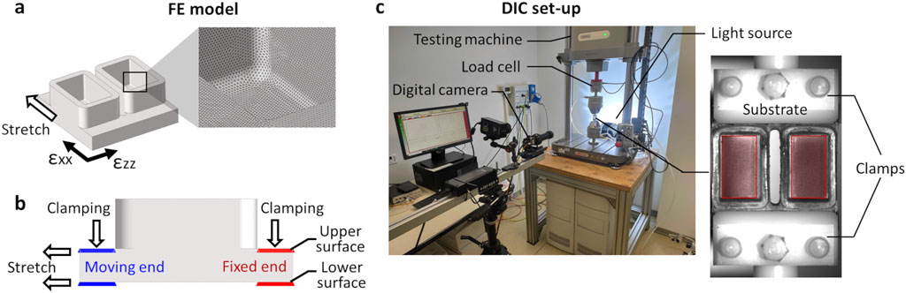 Diagram illustrating a digital image correlation (DIC) set-up for testing. Panel (a) shows a finite element (FE) model of the deformable substrate. Panel (b) depicts a side view of the substrate with indications of clamping, moving, and fixed ends. Panel (c) presents the testing machine equipped with a load cell, light source, clamps, and digital camera setup for capturing data. A computer monitors the process, detailing the arrangement and function of the components involved.