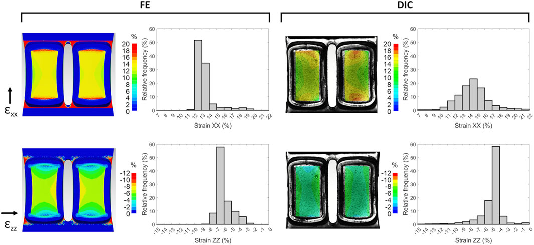 Comparison of finite element (FE) and digital image correlation (DIC) strain analysis. The top row shows strain εxx with contour images and histograms of strain distribution. The bottom row shows strain εzz with similar comparisons. Contour color bars range from negative twelve to twenty percent. Both histograms highlight frequency distributions, with FE showing a narrower peak compared to the broader DIC results.